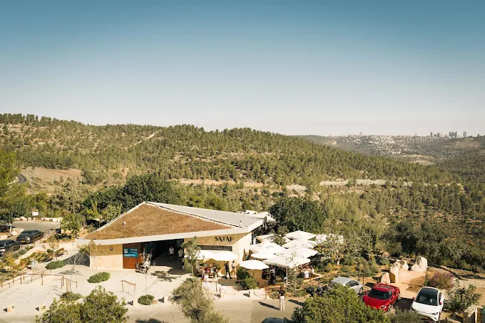 סטף  Sataf