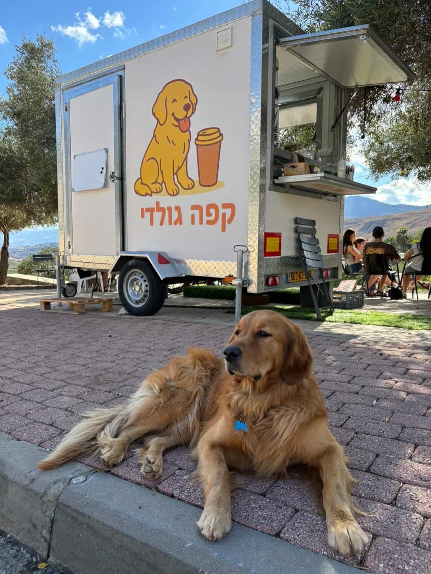 קפה גולדי