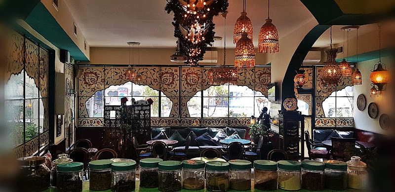 LAYLA ليلى ליילא‎