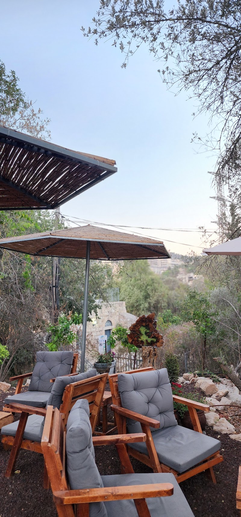 קפה בארזה