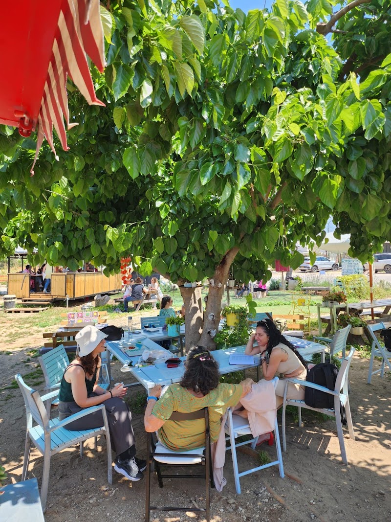 לוקה עגלת קפה