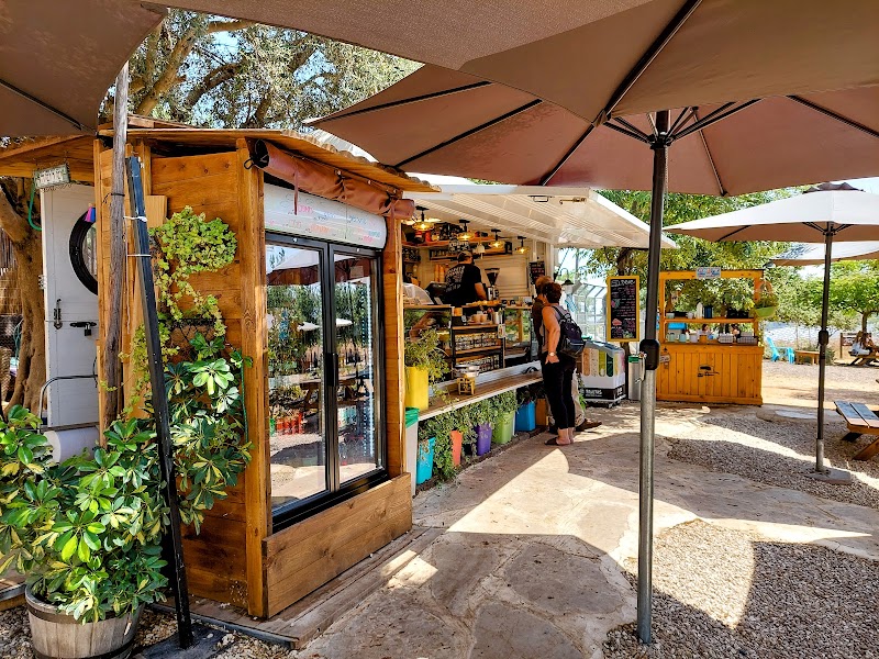 ״שושה״ עגלת קפה צופית