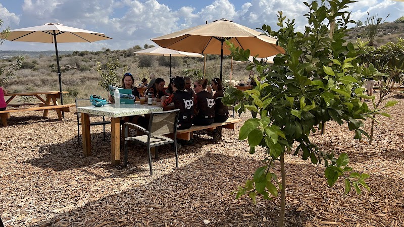 עגלת קפה פארם קפה - FARM CAFE