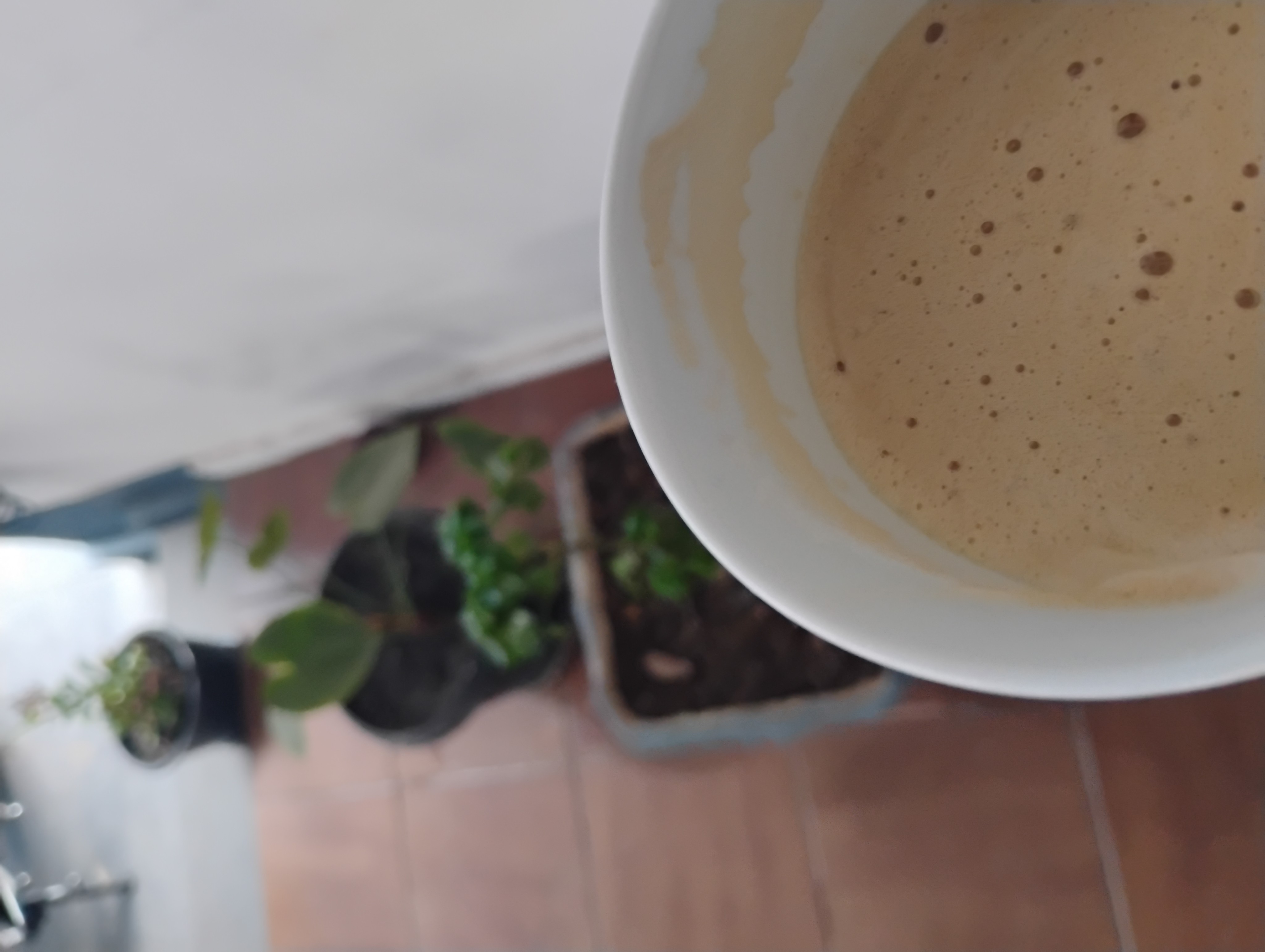 ☕🌿
