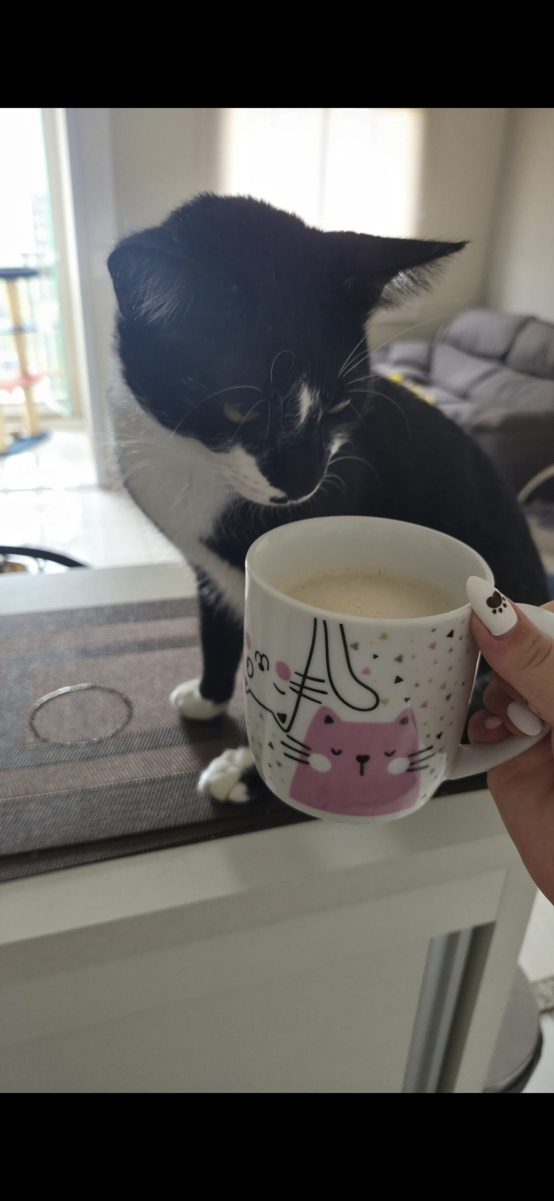 melhor hora do dia de todo brasileiro!

Por aqui, até os gatos amam o cheirinho de café moído e passado na hora. 🥰🐱☕️