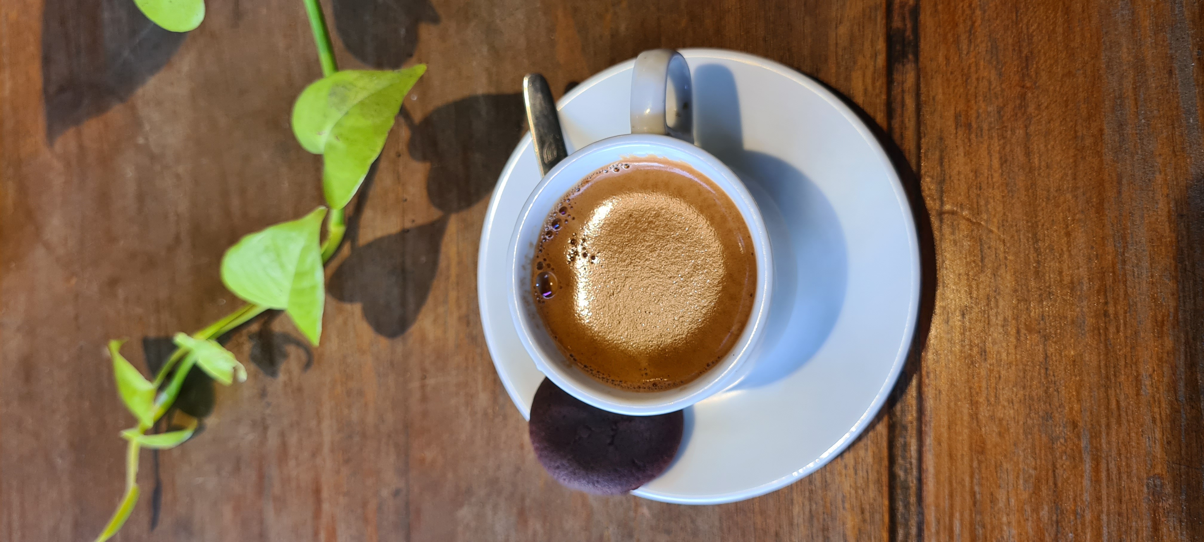 Estou adorando experimentar cafés aqui em Bali, Indonésia! 🤩