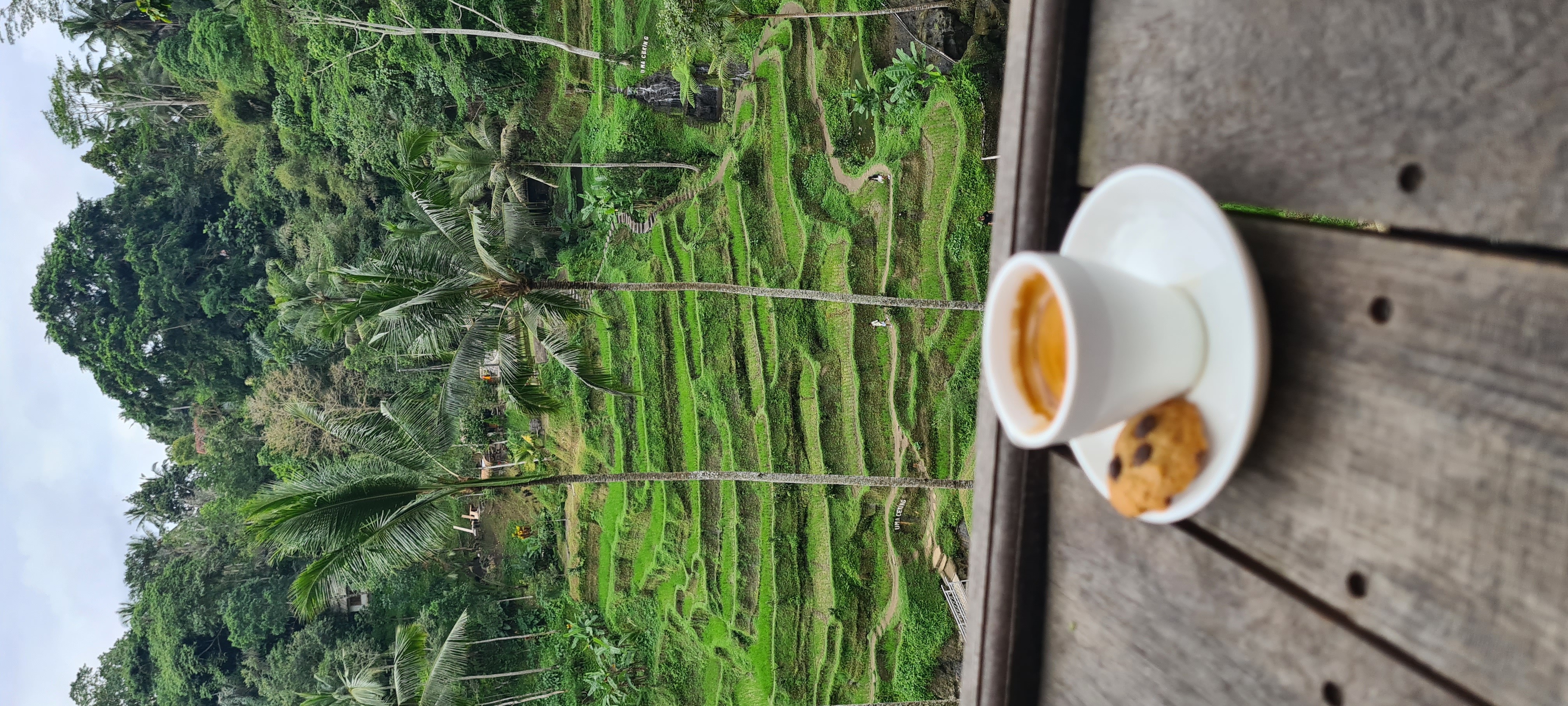 Café com vista para a plantação de arroz aqui em Bali, Indonésia. 🤩