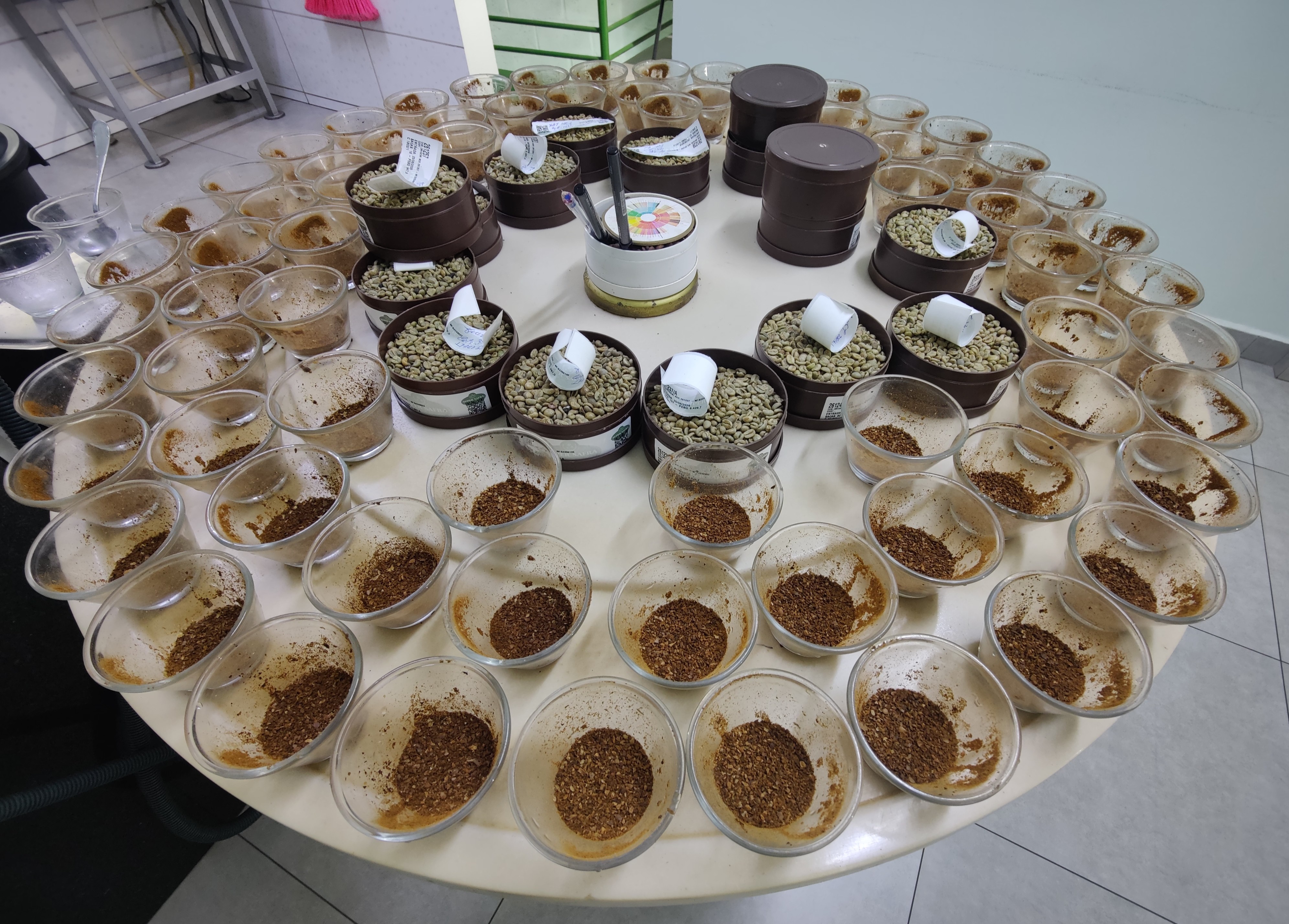 lotes de café para degustação 