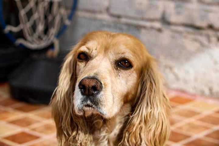 Su nombre, Matilda y su café favorito es el capuchino 