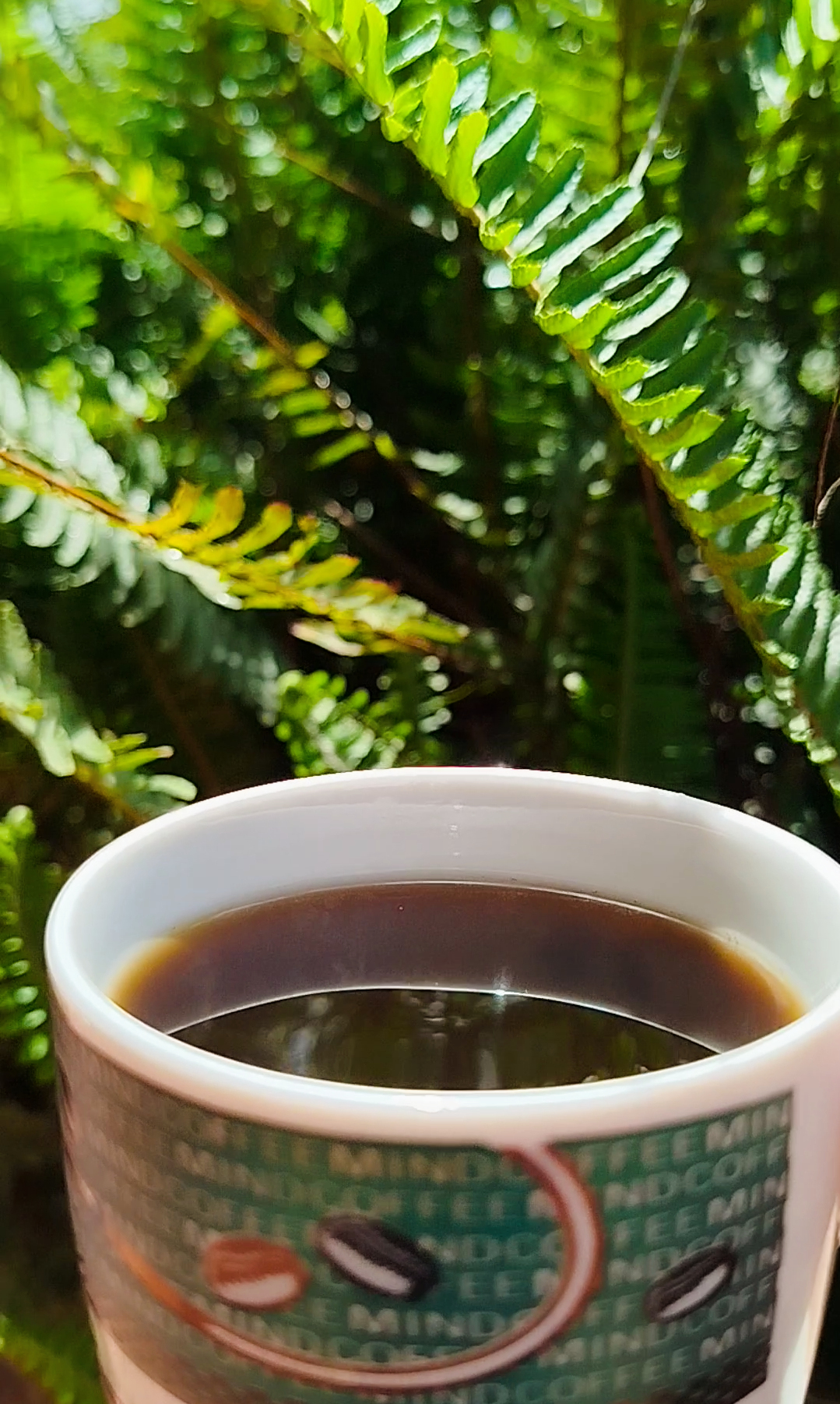Bogotá ☀️20°C| El ☀️ luminoso pincel dorado, transforma a verde oro las plantas y Oro ámbar mi café. 🧡☕