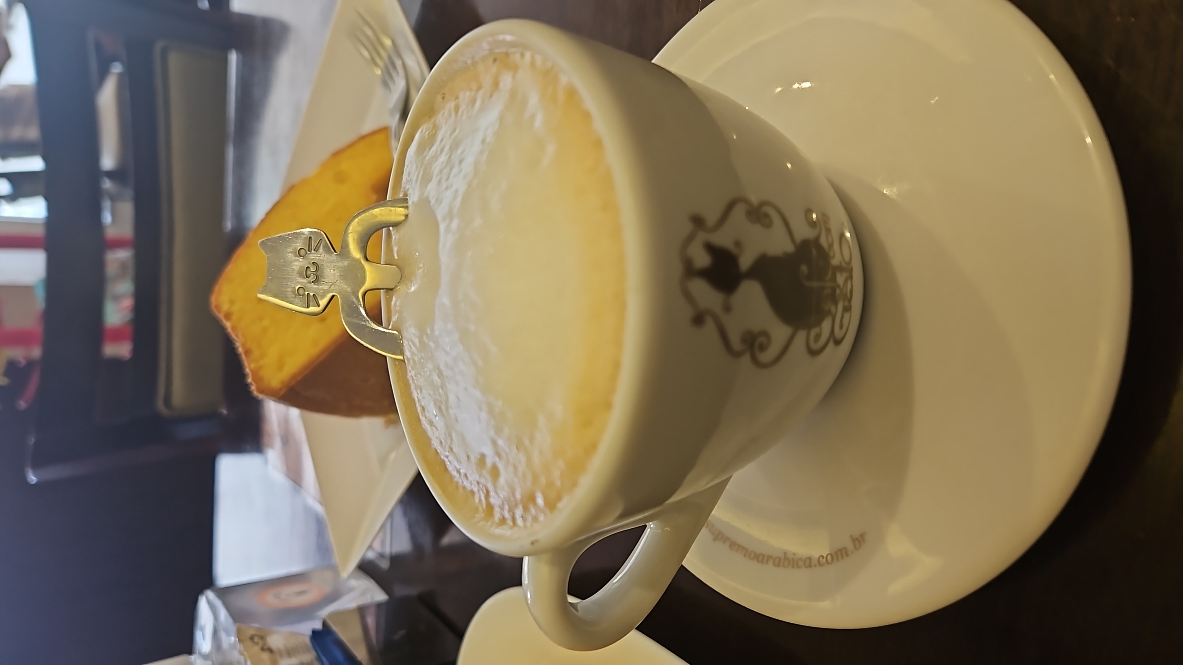 Bonitos gatos para visita e adoção. 
