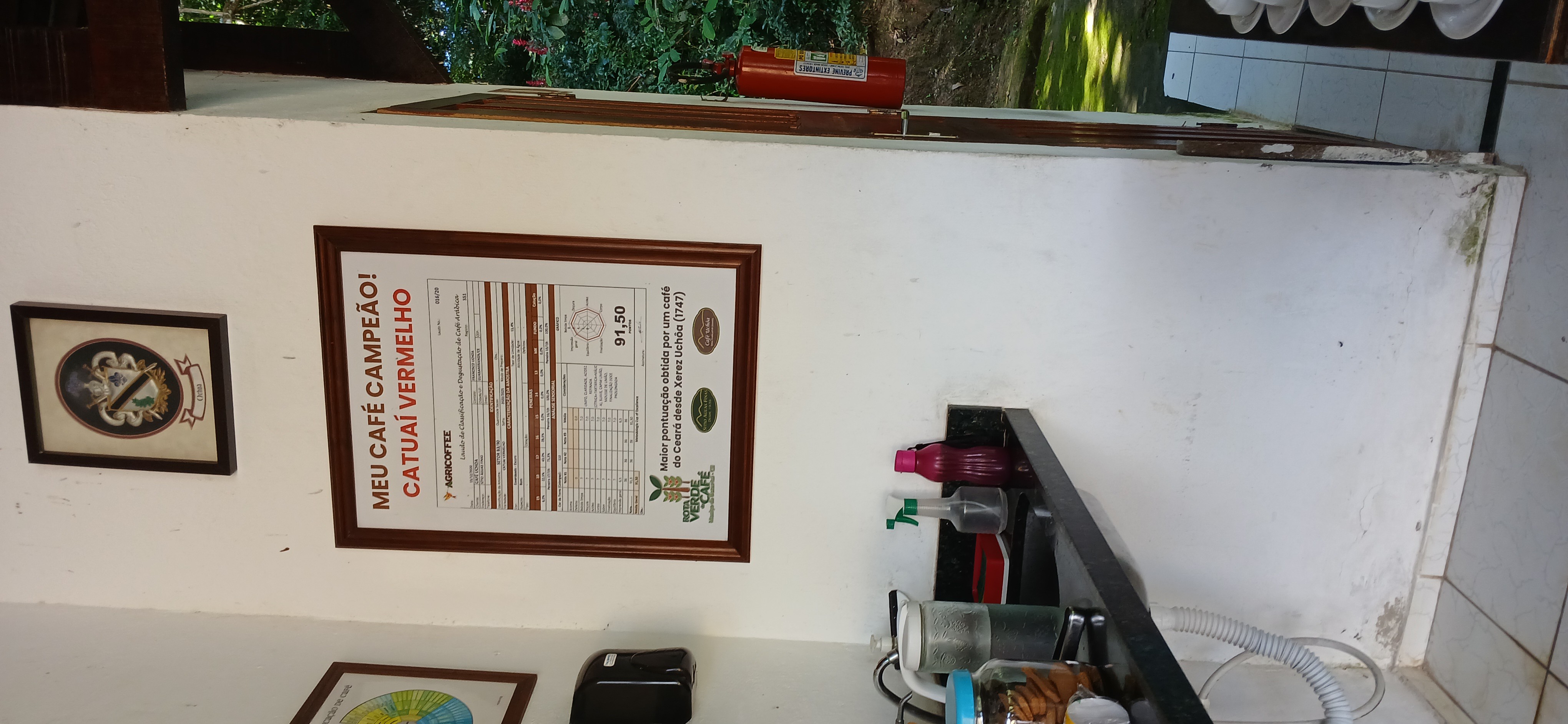 Visita guiada ao Sítio Águas Finas - Guaramiranga-CE
Produção de cafés orgânicos especiais, em altitude (850m) e sombreamento. 🌱
Parte 1: explicação,  secagem, armazenamento 
