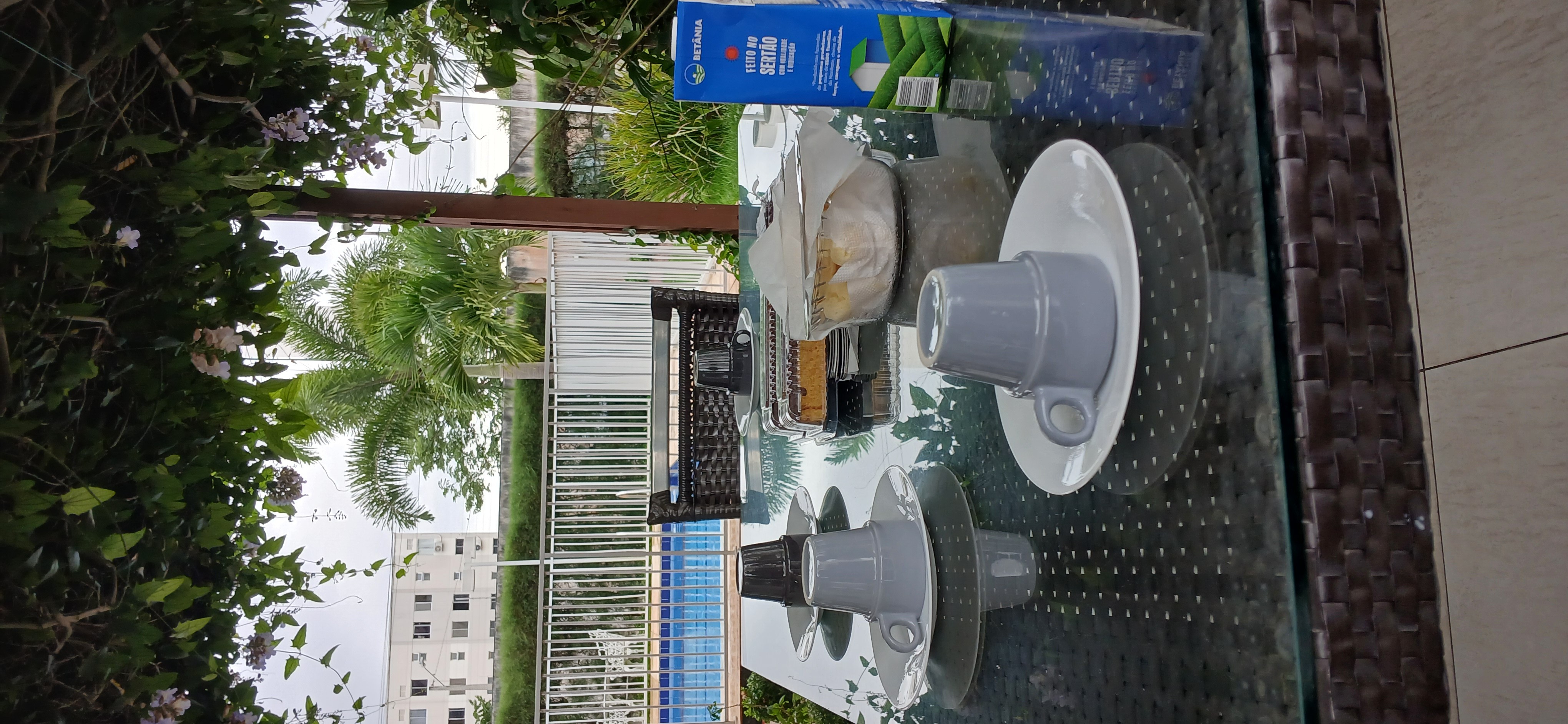 Bom dia! Café da manhã de ontem, domingo. Esperando a família ✨️☕️🪴