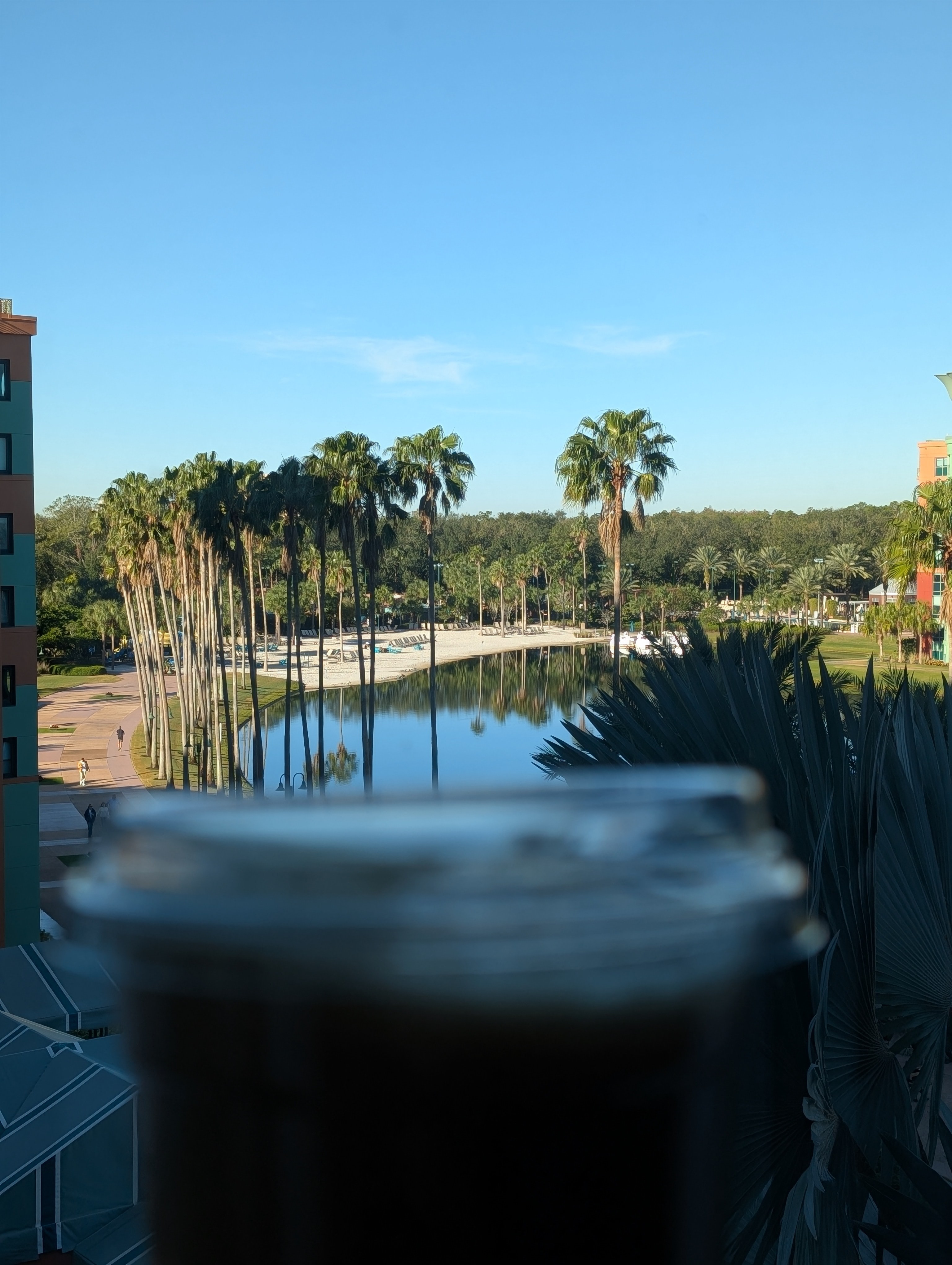 Having a nitro cold brew before heading to Magic Kingdom