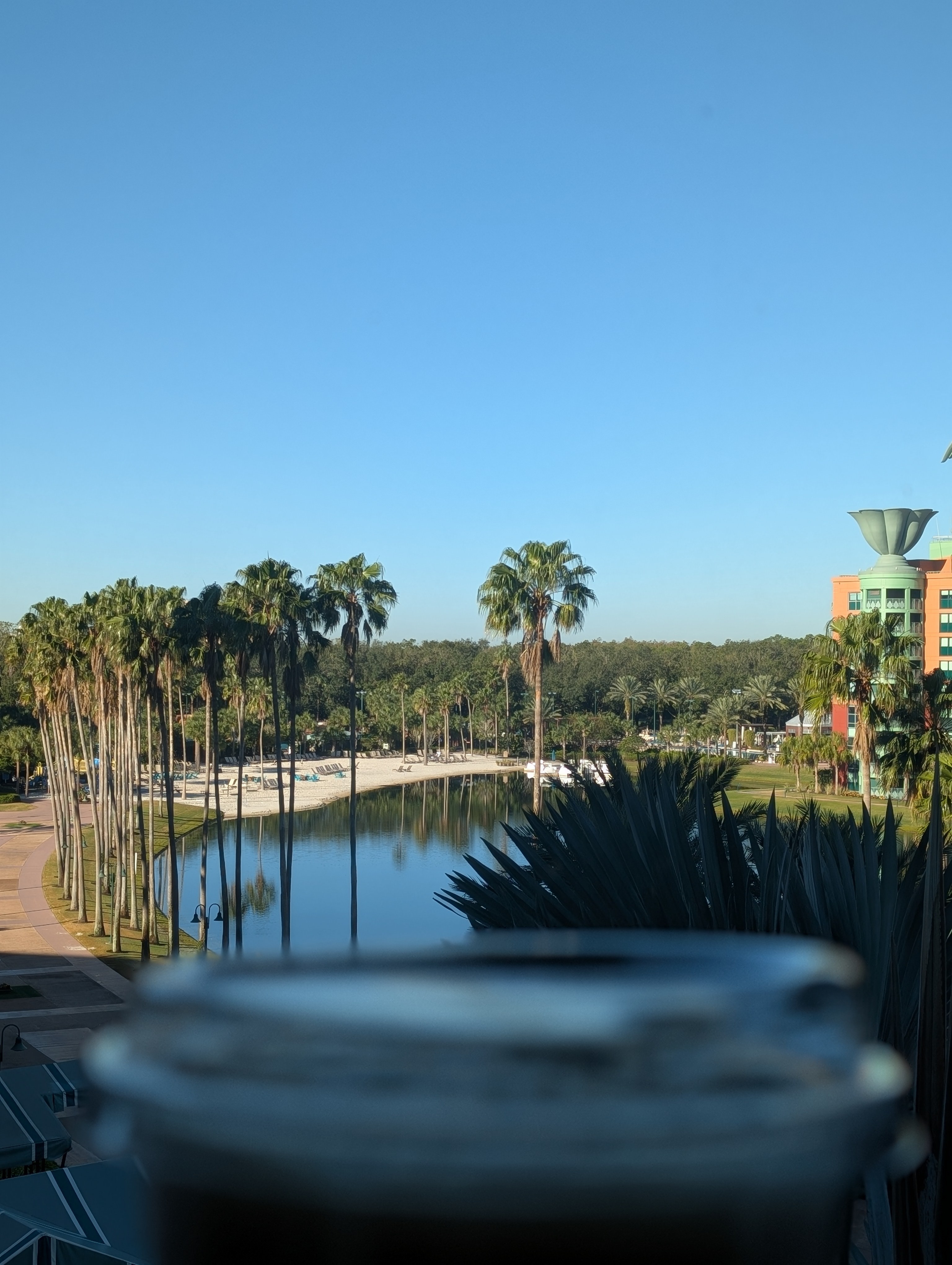 Having a nitro cold brew before heading to Epcot