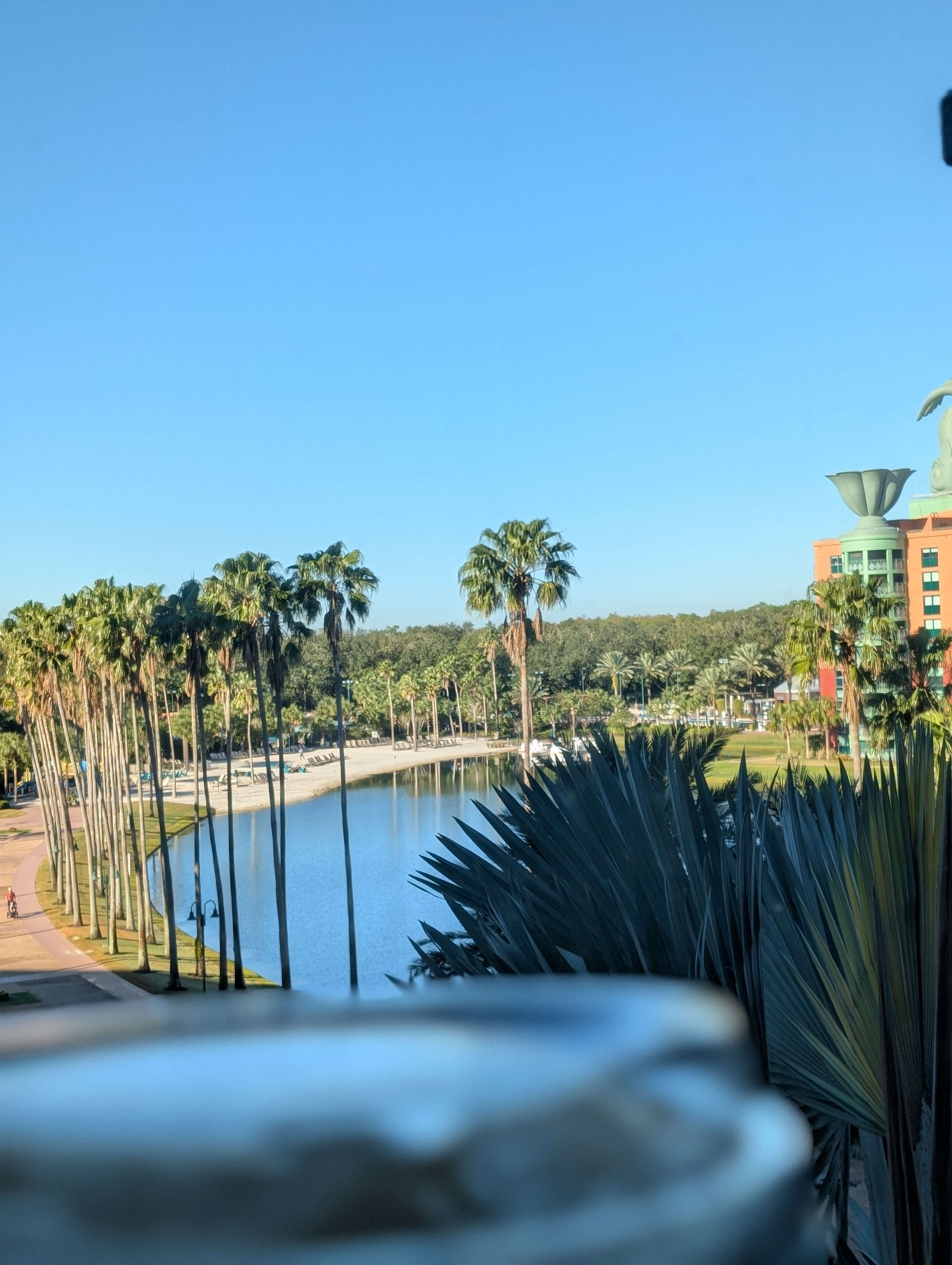 Nitro cold brew before Animal Kingdom