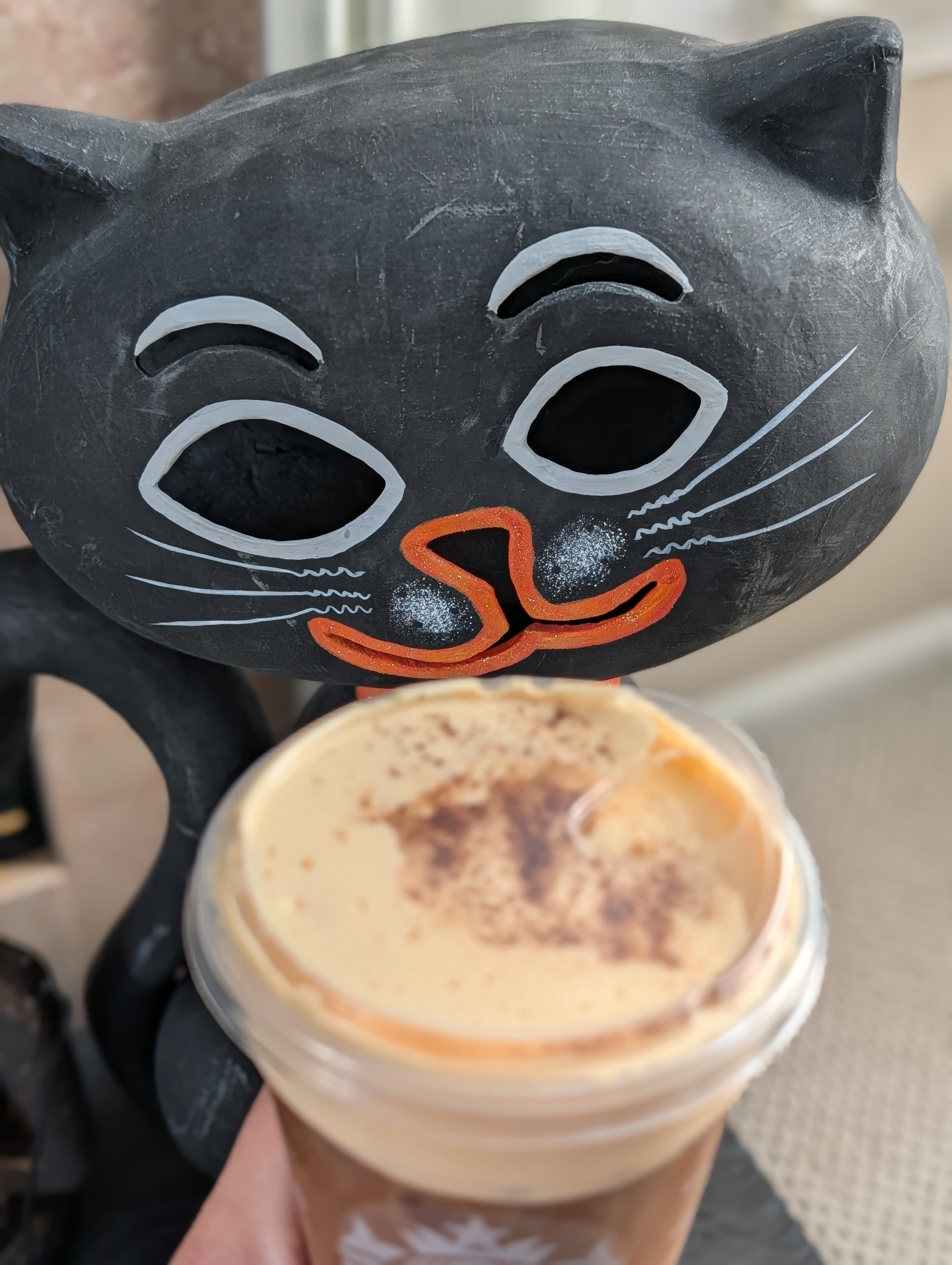 Having another pumpkin cream cold brew which is purr-fect for the season