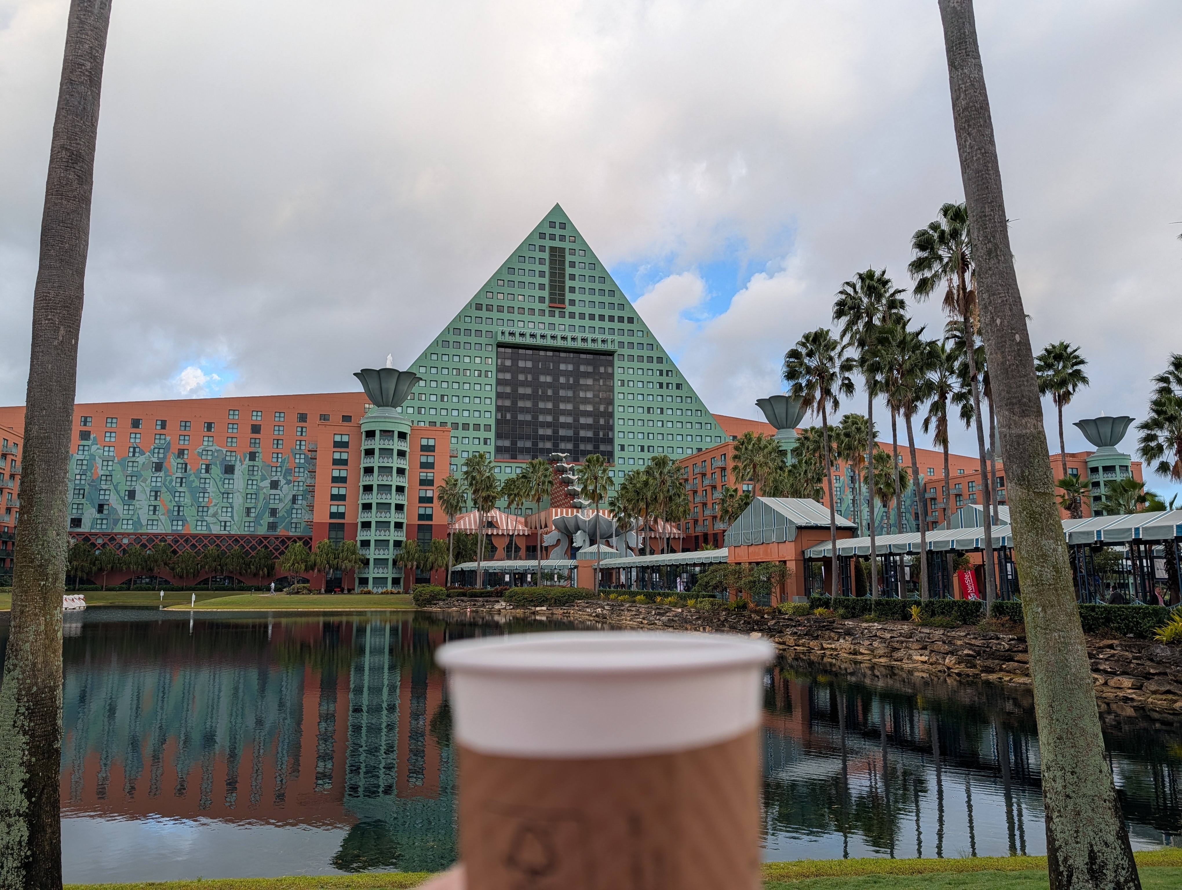 Enjoying the view on the way to the conference