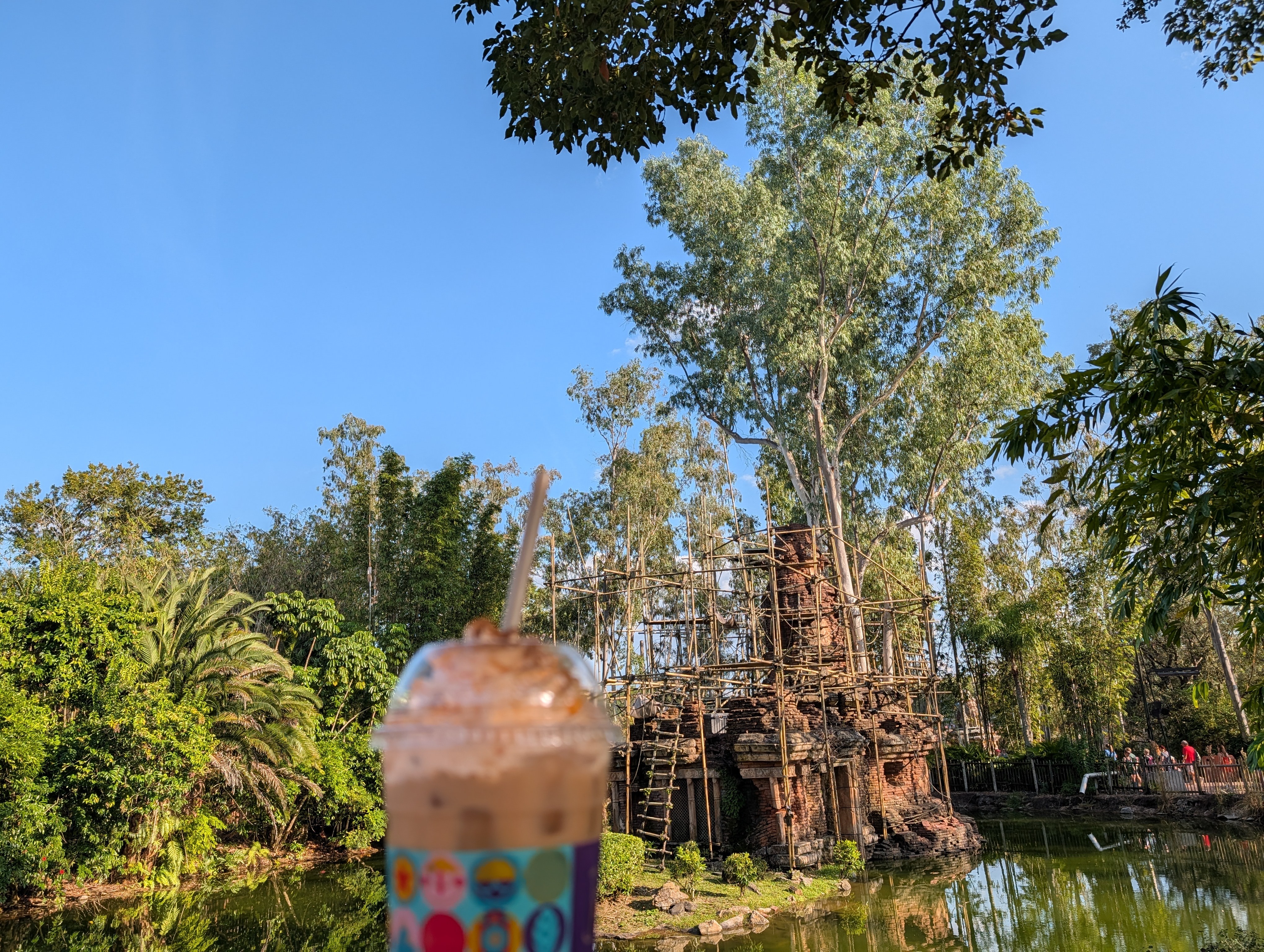 Enjoying a pumpkin carriage cold brew while trying to find monkeys hidden in the trees