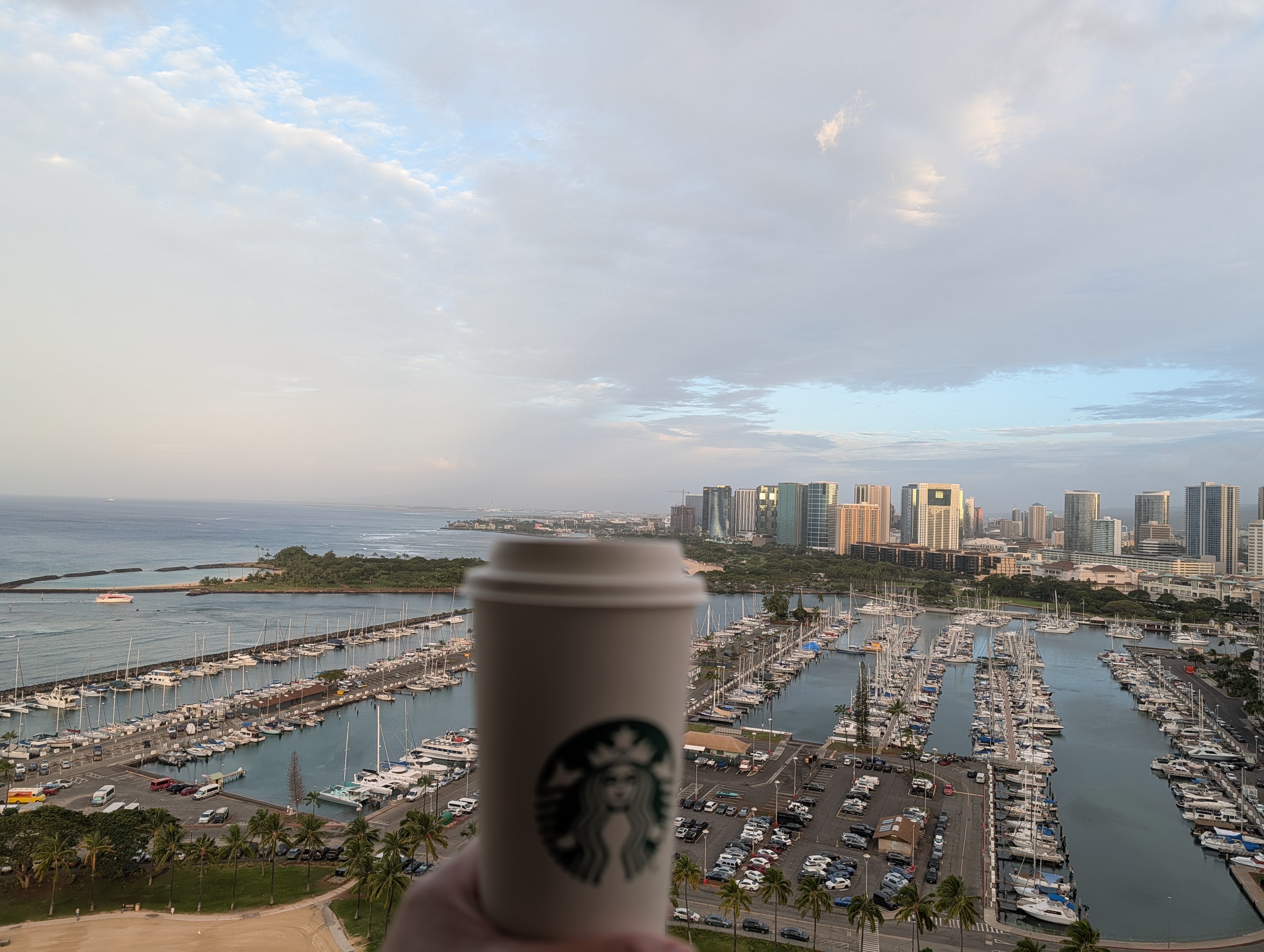 It looks like a nitro cold brew morning