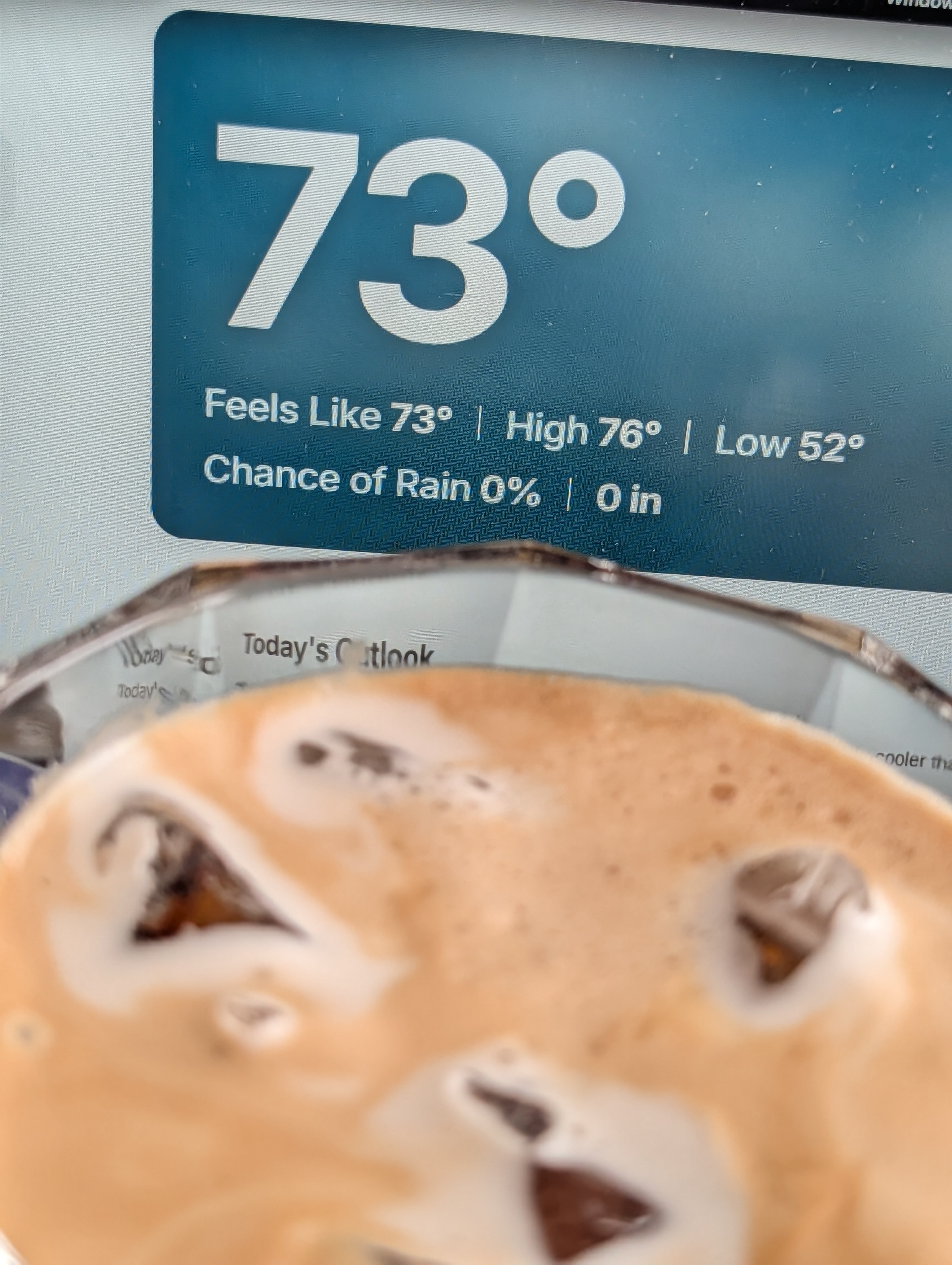 Fortunate to have a few minutes to make an iced espresso on a busy but cool Monday