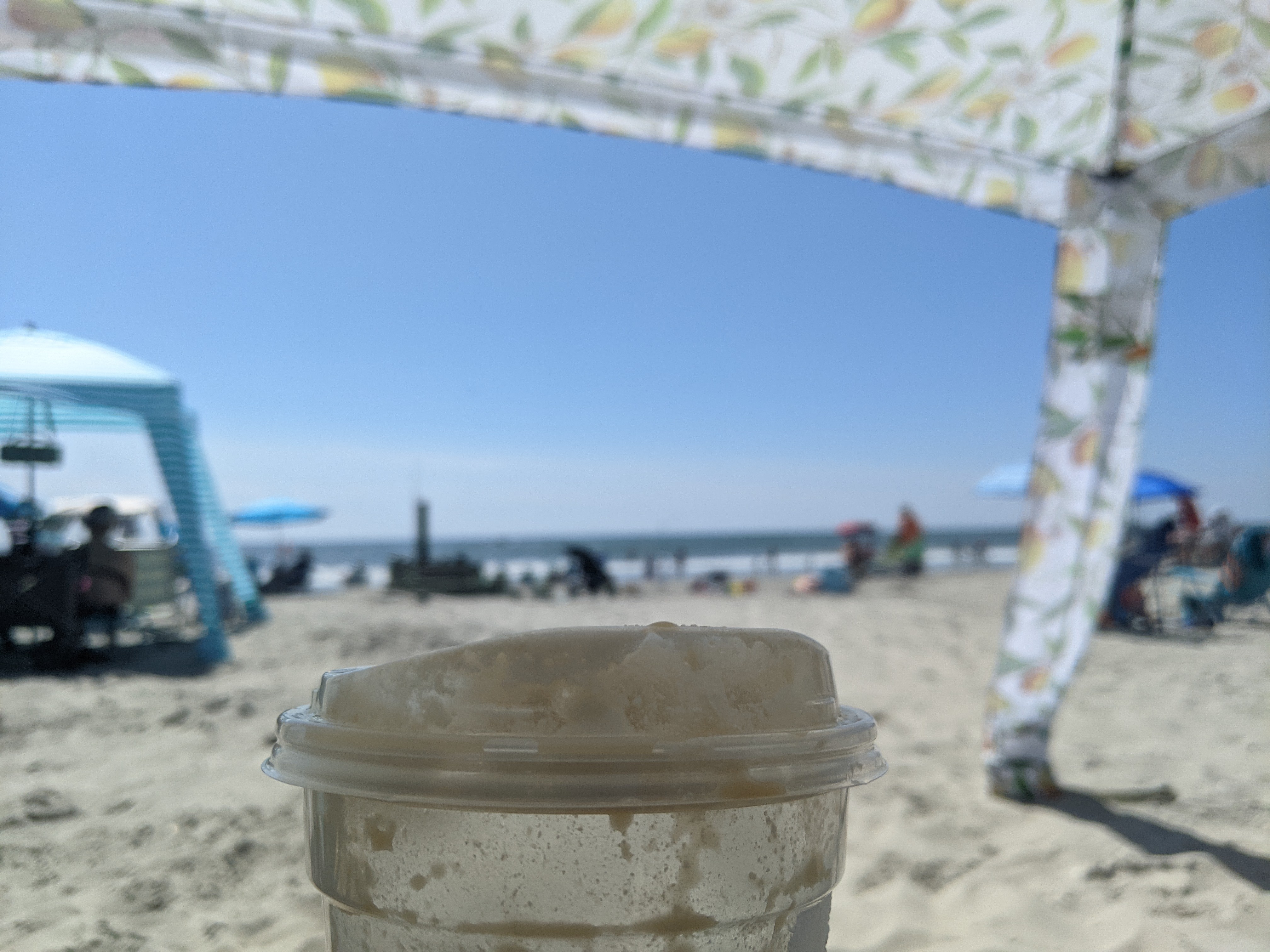 Back at the beach 