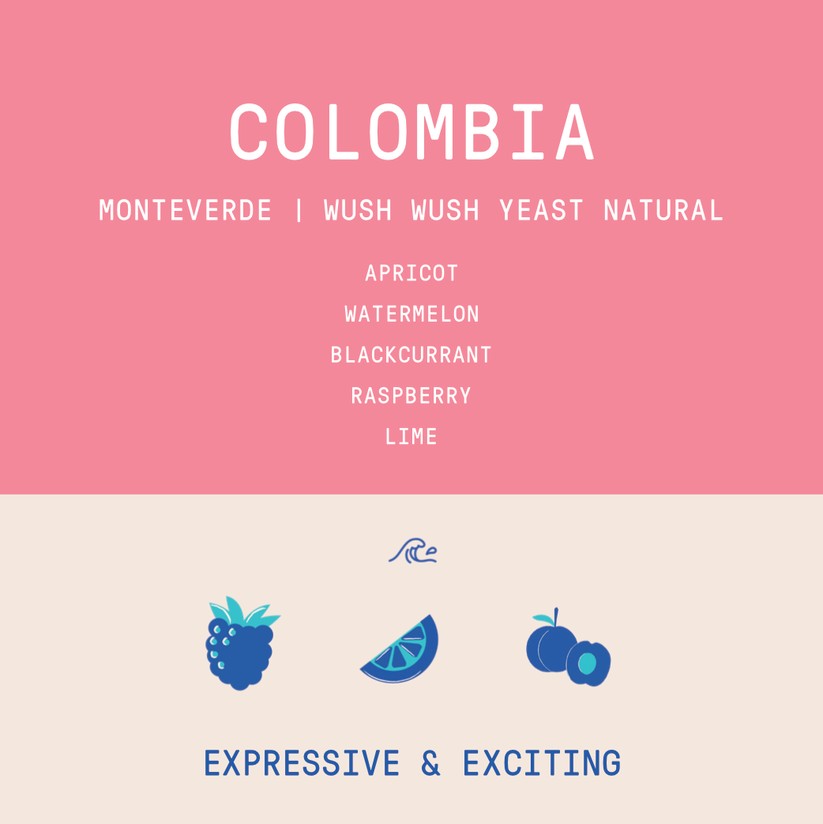 Excellent apricot notes coming through and melon on the nose. Degassing for another week would have helped but still great