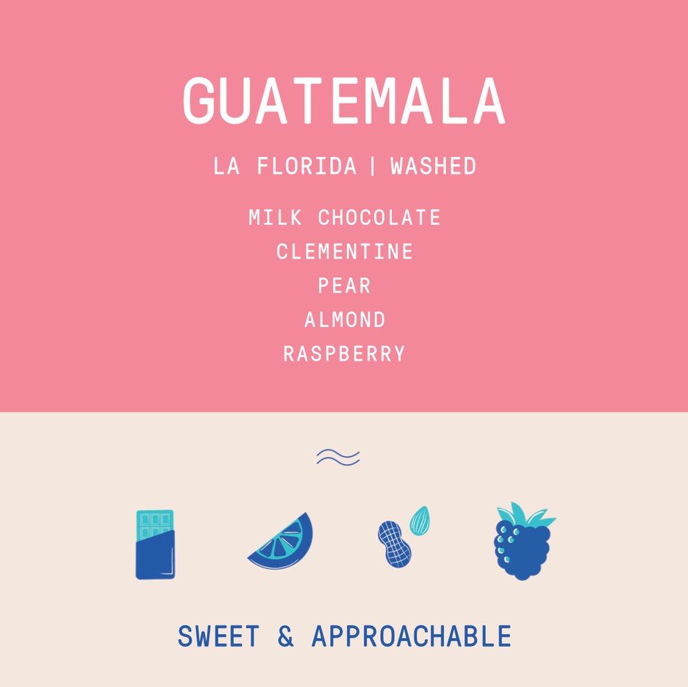 Nothing special or overwhelming here, a bit muddy. more medium roasted 