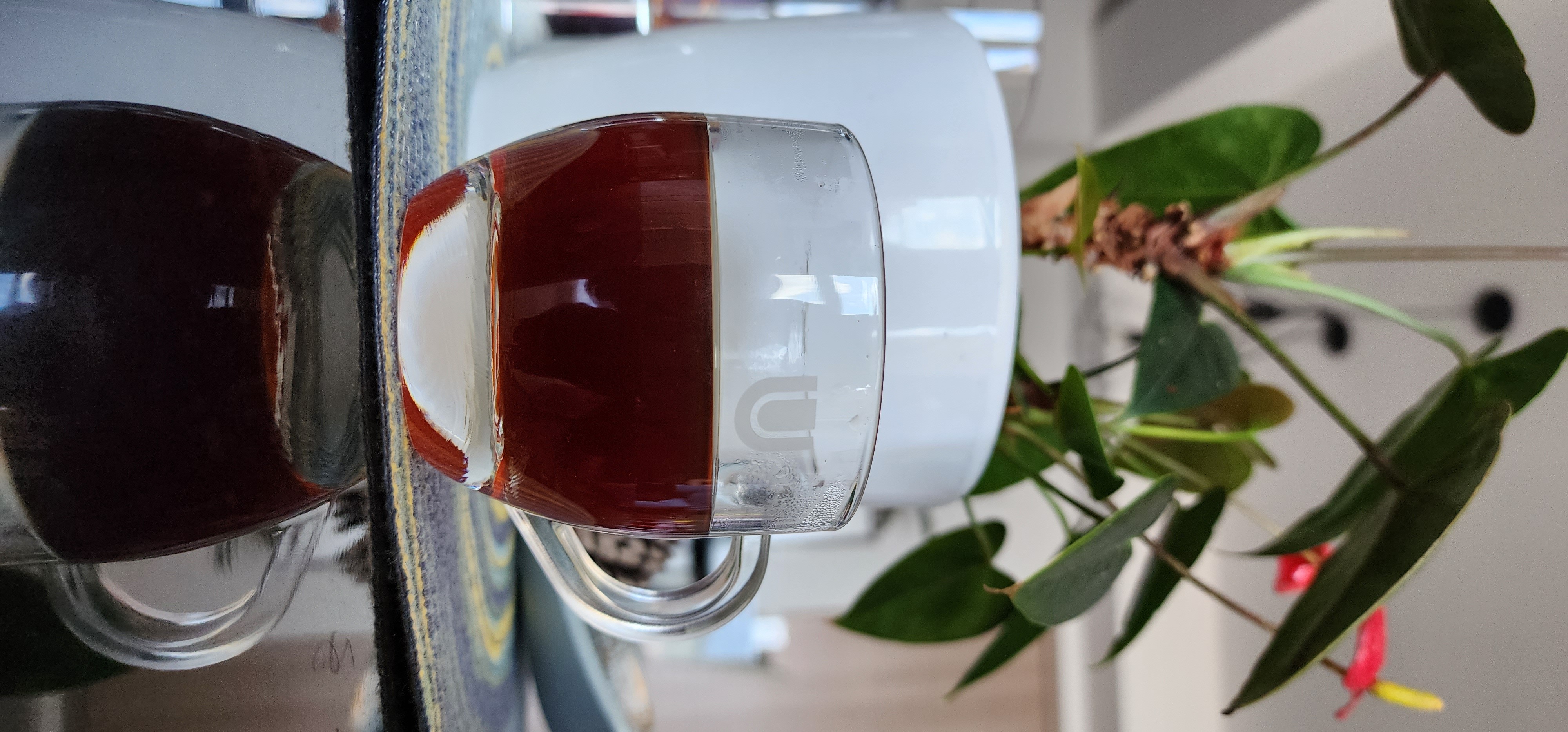 Café y una mata para recordar a mis difuntos.