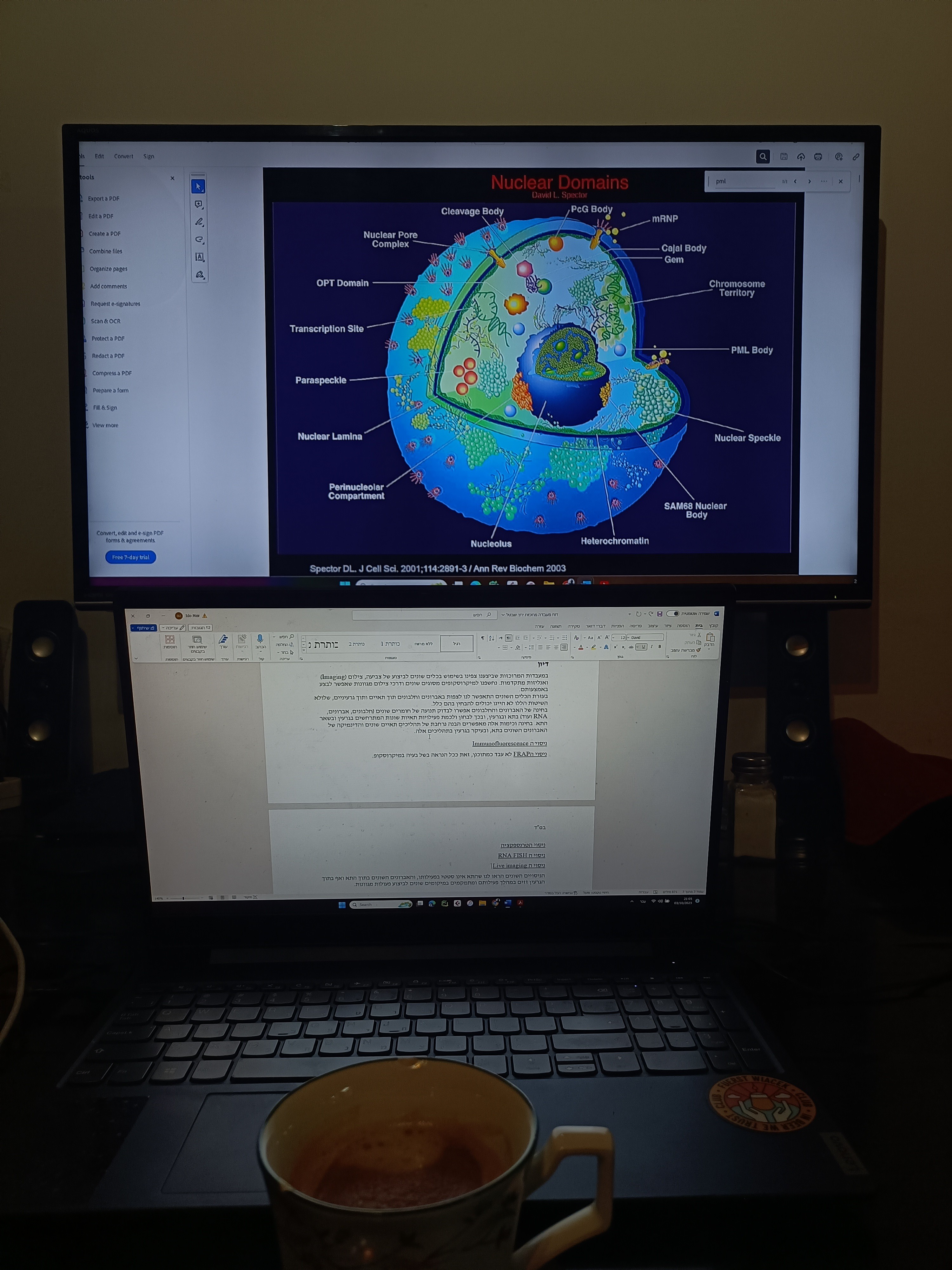 Coffee photo review barista cafe specialty coffee