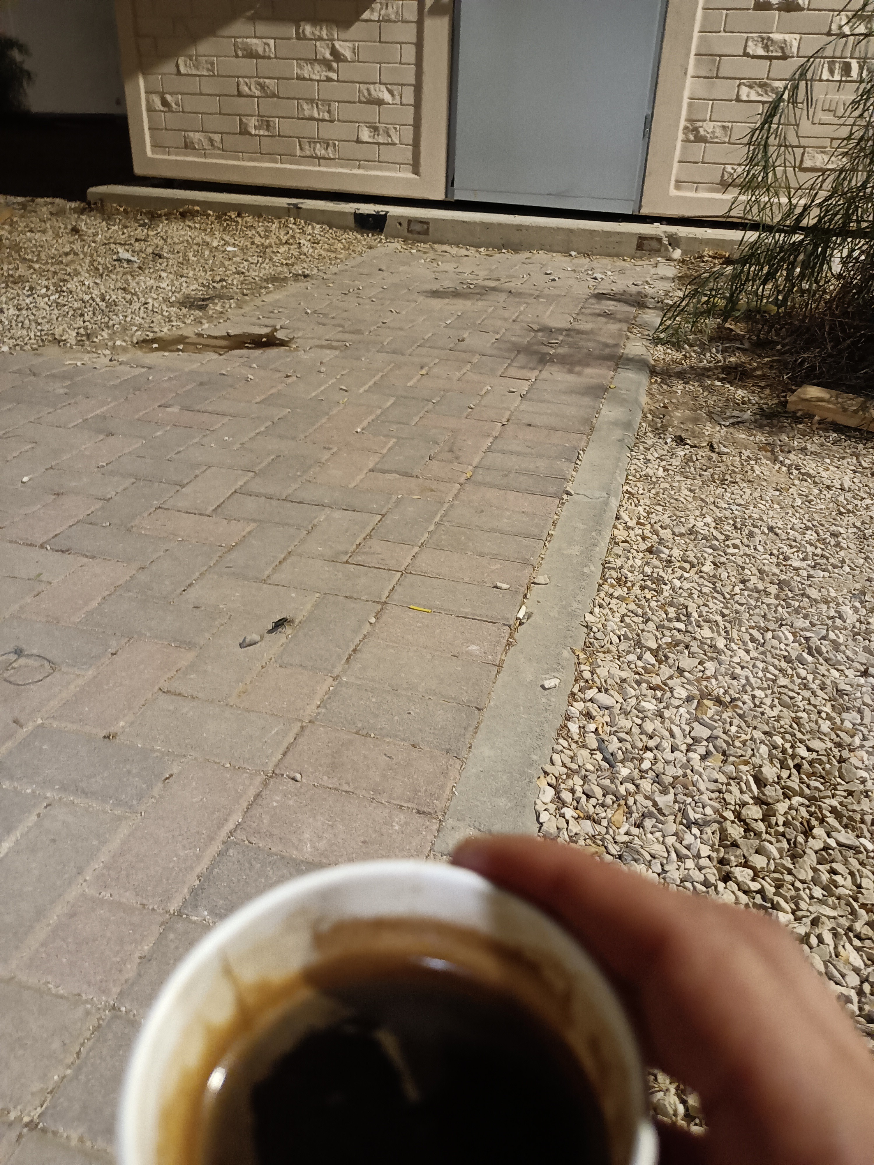 Coffee photo review barista cafe specialty coffee