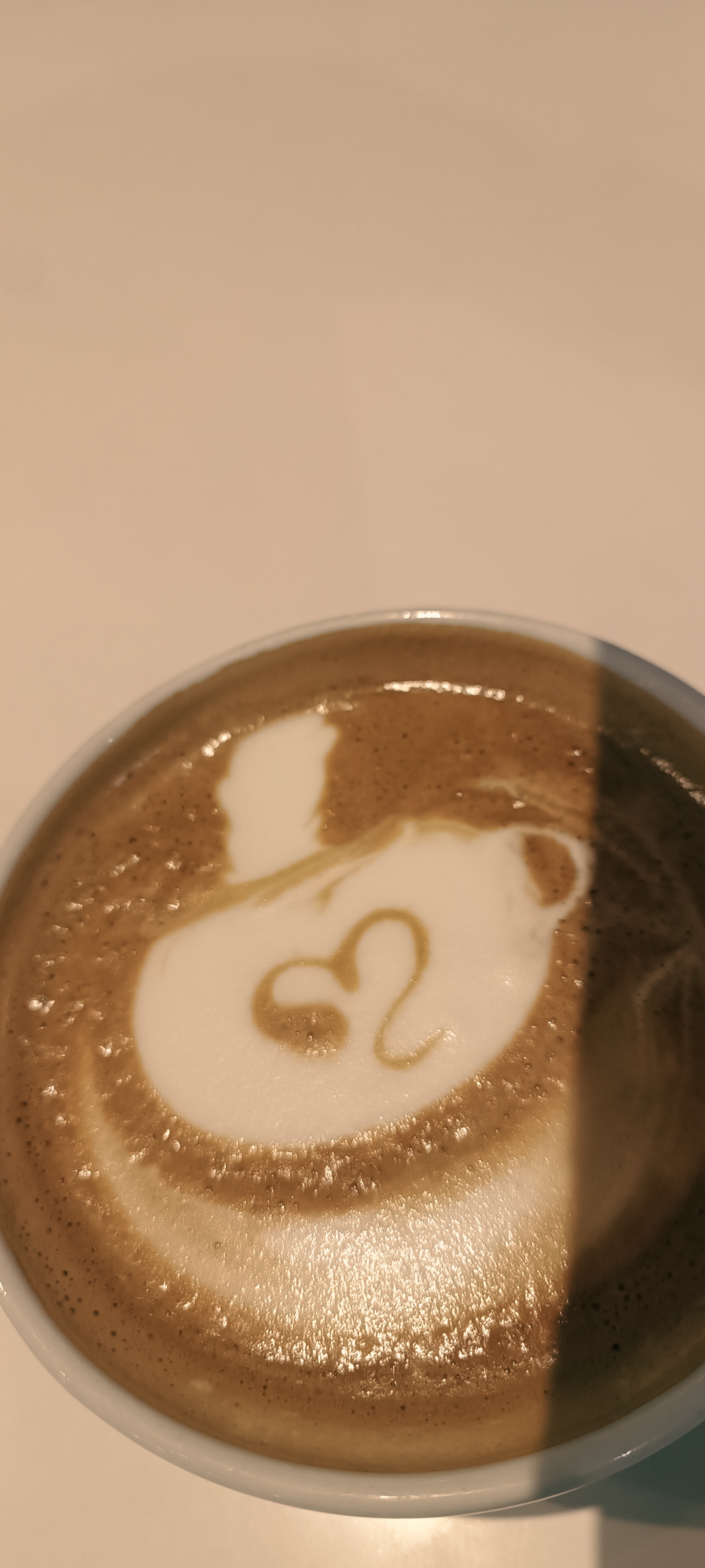 Coffee Lover