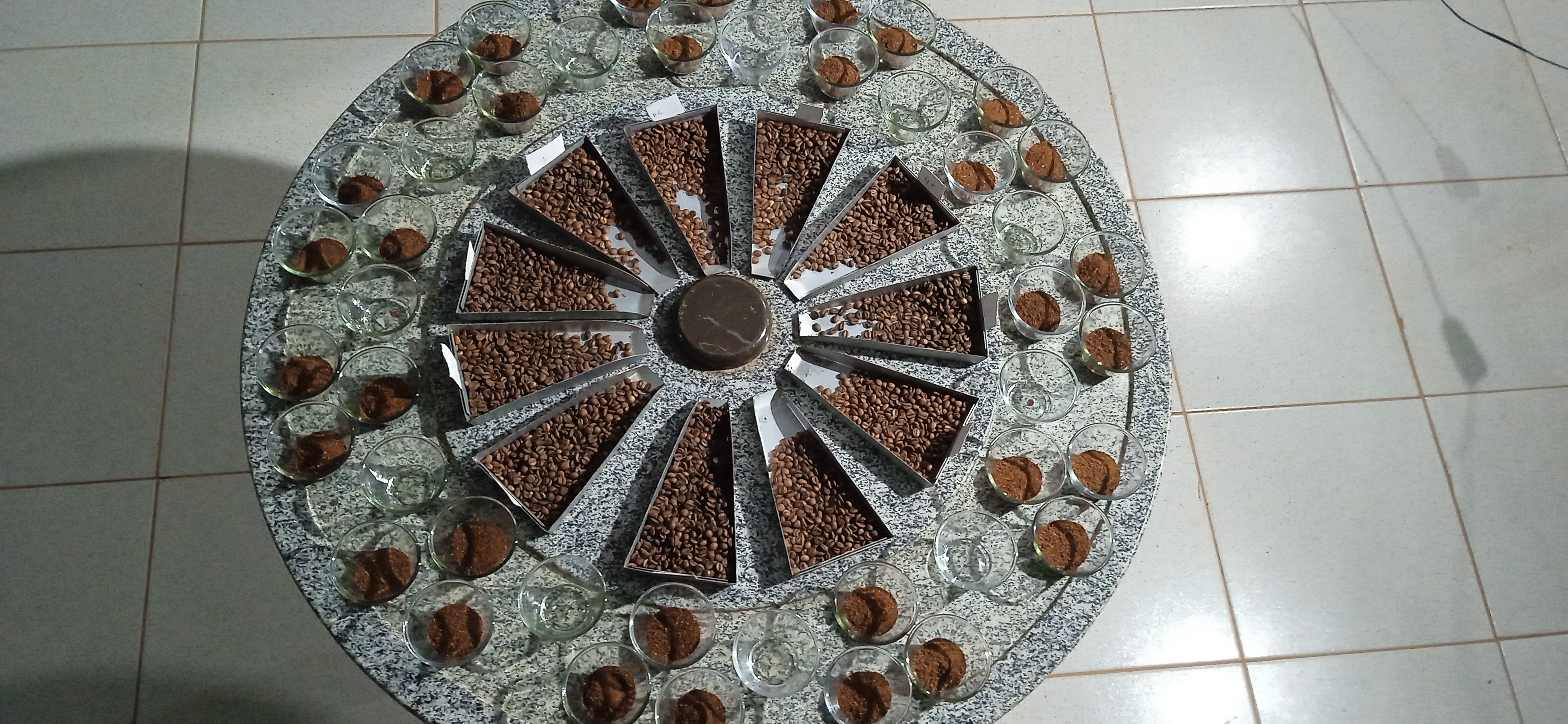 degustação de cafés , Carangola MG