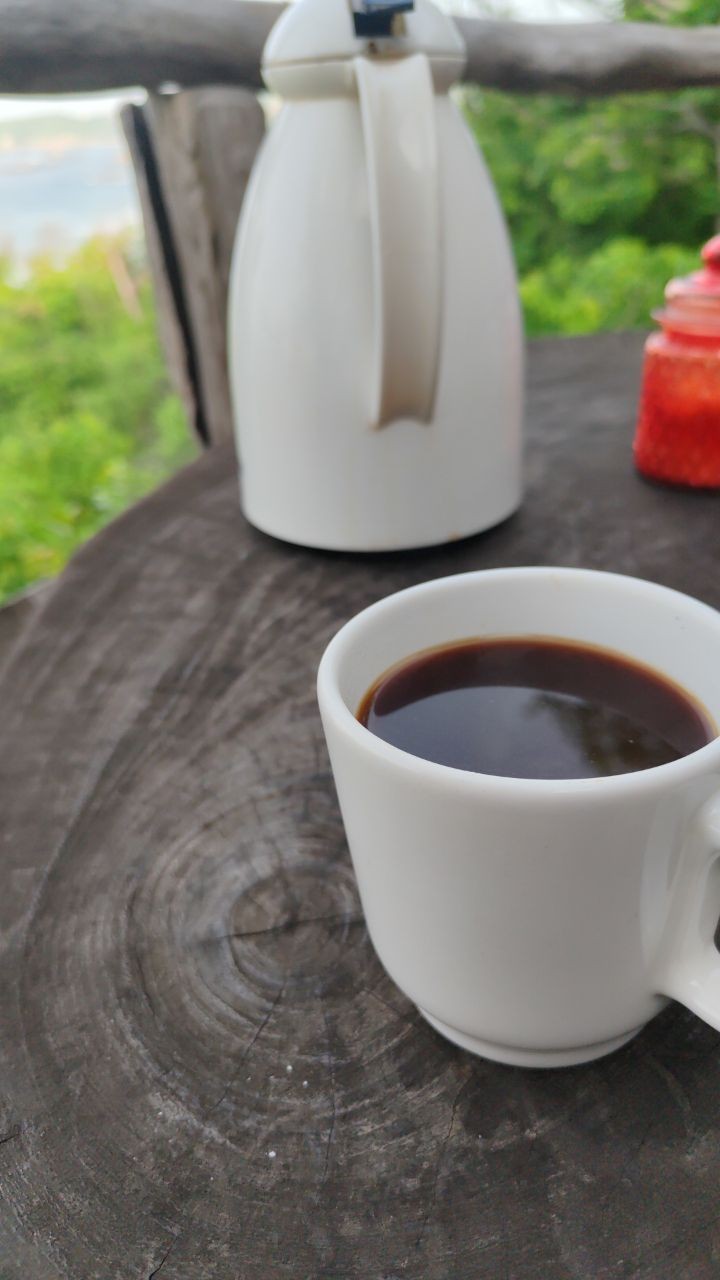 El día comenzó con una taza de Americano, soy practicante de karate y estaba de viaje por las costas de Oaxaca, entrené en la playa y pasó el tiempo, comimos y junto con dos amigos decidimos meternos al mar, pero nadie sabía que ese día se convertiría en el día en que casi muero, el mar de Zipolite es conocido por ser muy peligroso, yo no sabía eso, entré y dejé de sentir el suelo, el mar me arrastró hacia adentro, fueron los 15 minutos más largos de mi vida, traté de mantenerme a flote, pasados unos minutos mis brazos y piernas estaban muy cansados, el agua comenzaba a cubrir mi cabeza y a lo lejos ya no veía a nadie, uno de mis compañeros fue por ayuda (estábamos en una playa muy solitaria, solo éramos los 3), a lo lejos vi que una moto de agua se acercaba y me aventaron un flotador, lo tomé y pude descansar, salimos hasta la arena y escupí sangre, pero estaba a salvo.
Primer post!!!
