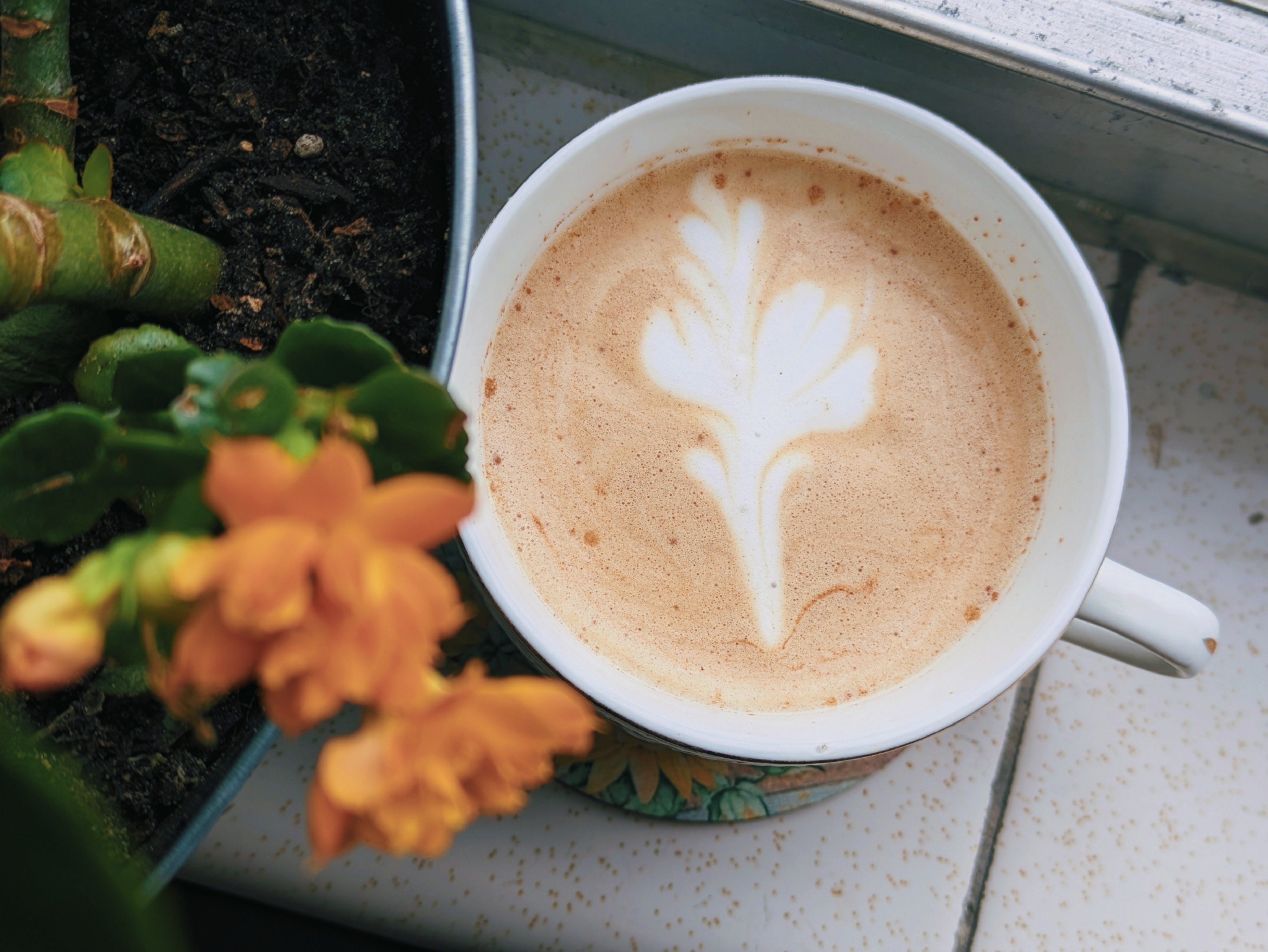 Arte latte con pincel 

Si deseas ver el vídeo buscame en las redes sociales que tenga puestas aquí en mi biografía. 🤎✨