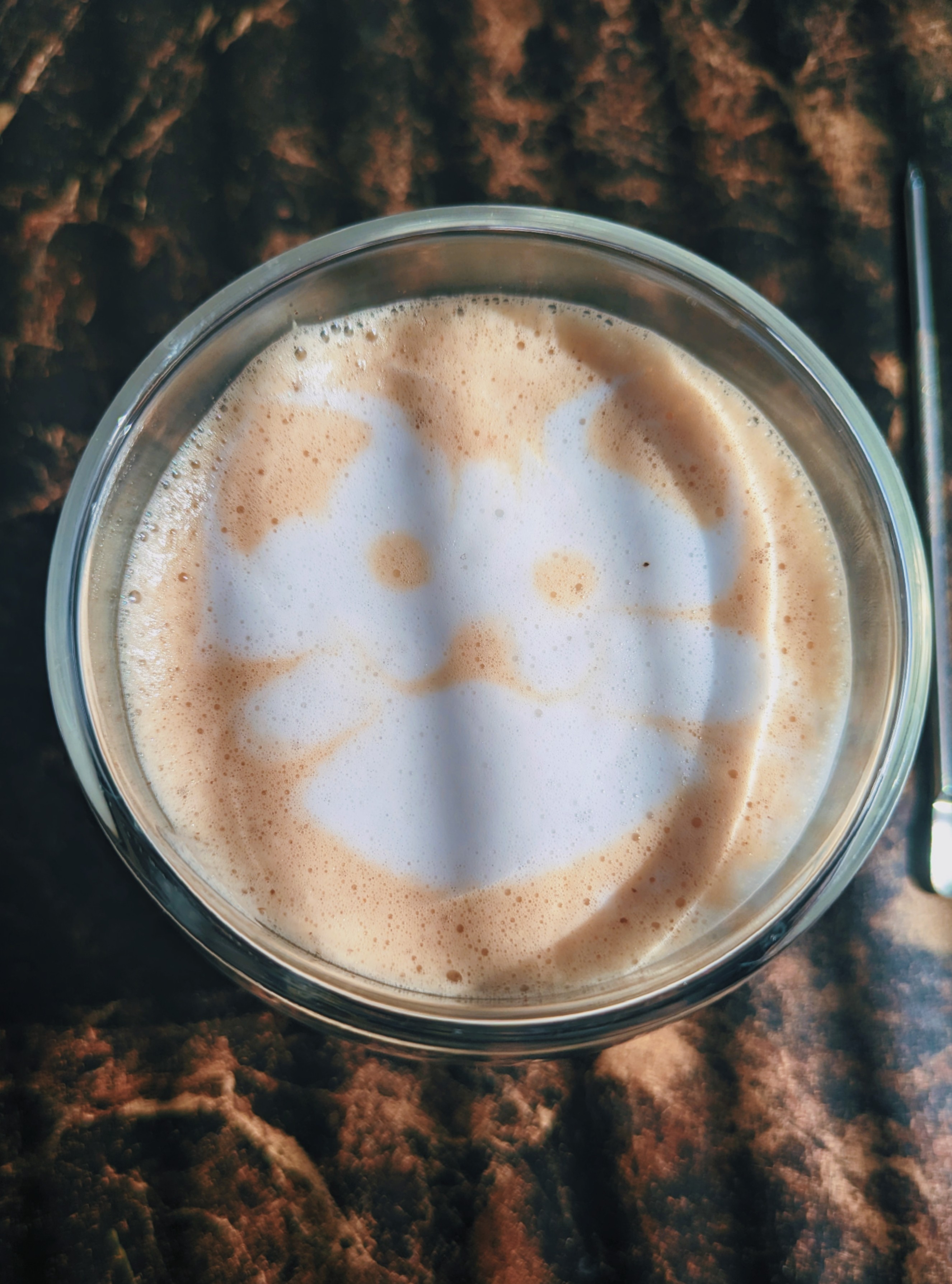 Mí Arte Latte Inspirado en Mí gato Miko