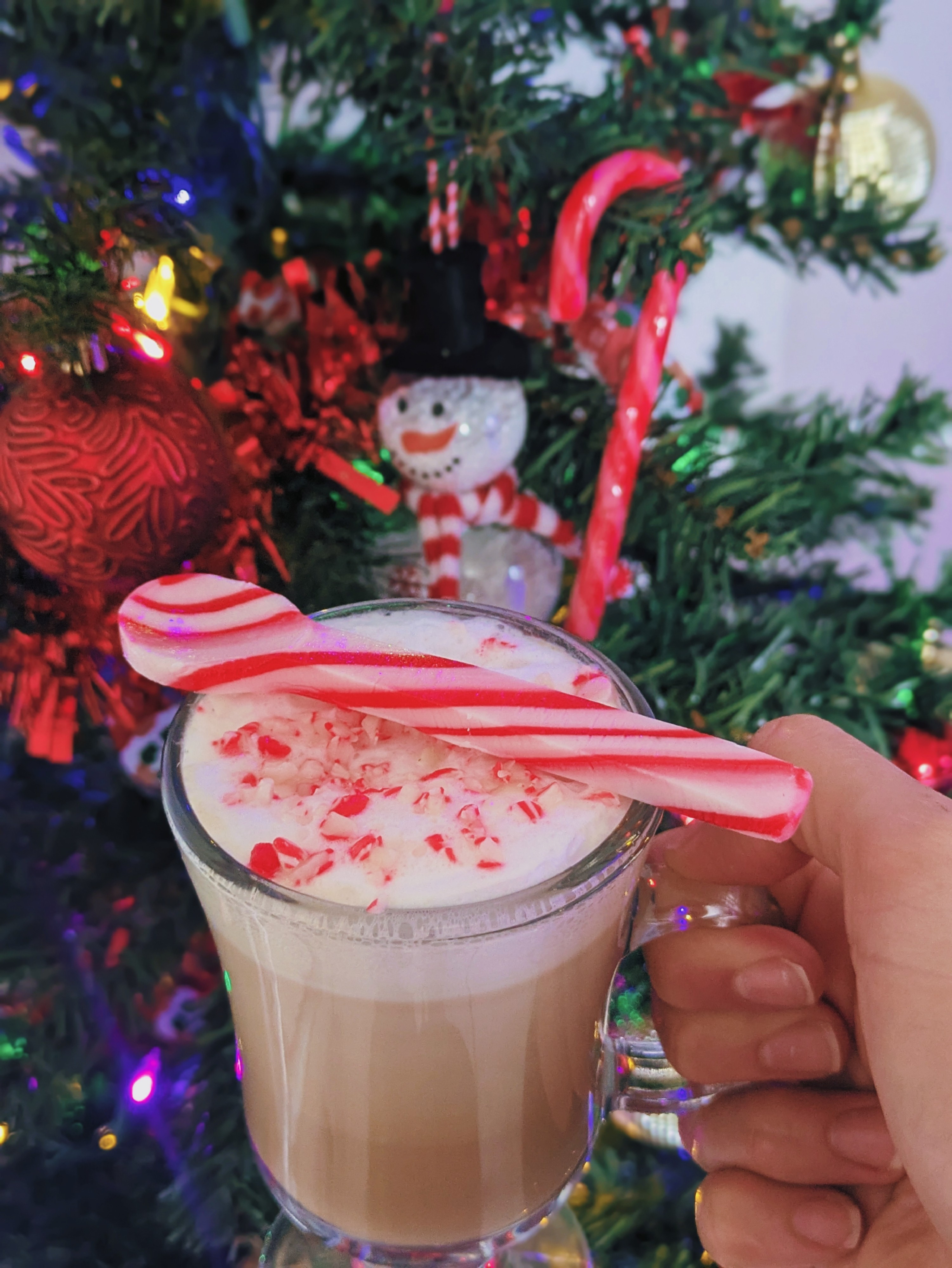 Inaugurando La Temporada Navideña 🎄