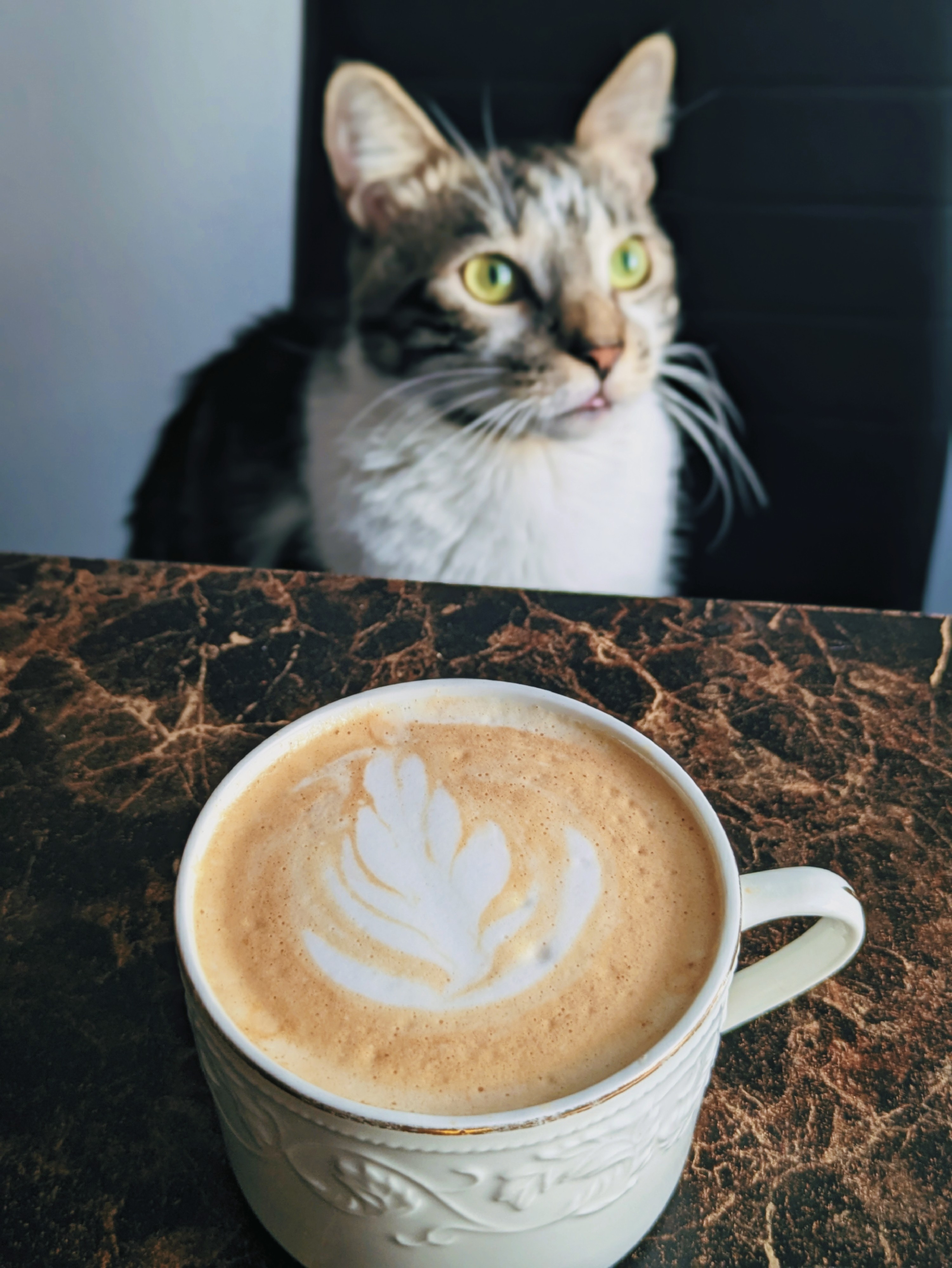 Latte Art 🫶🏻