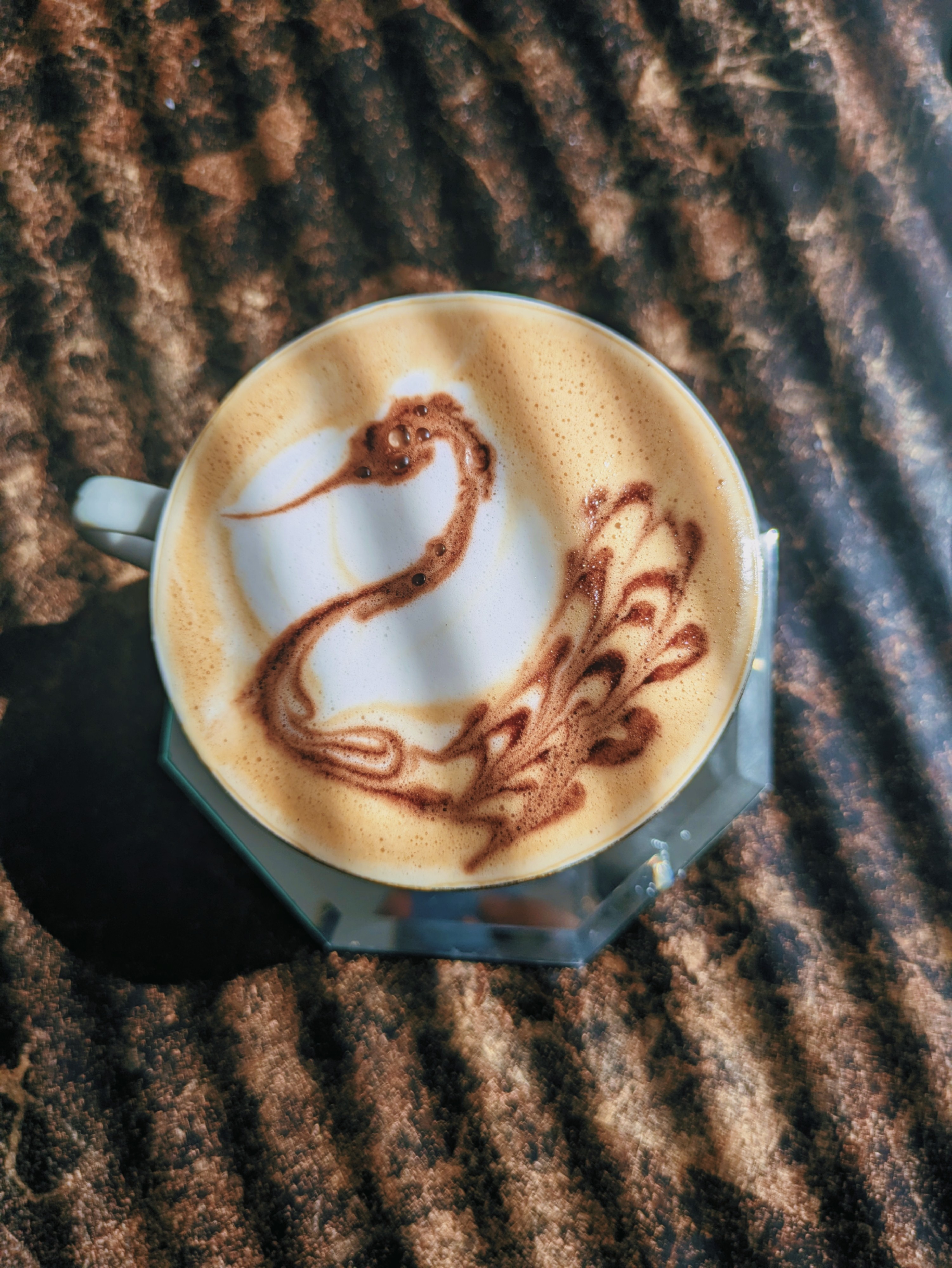 🦢