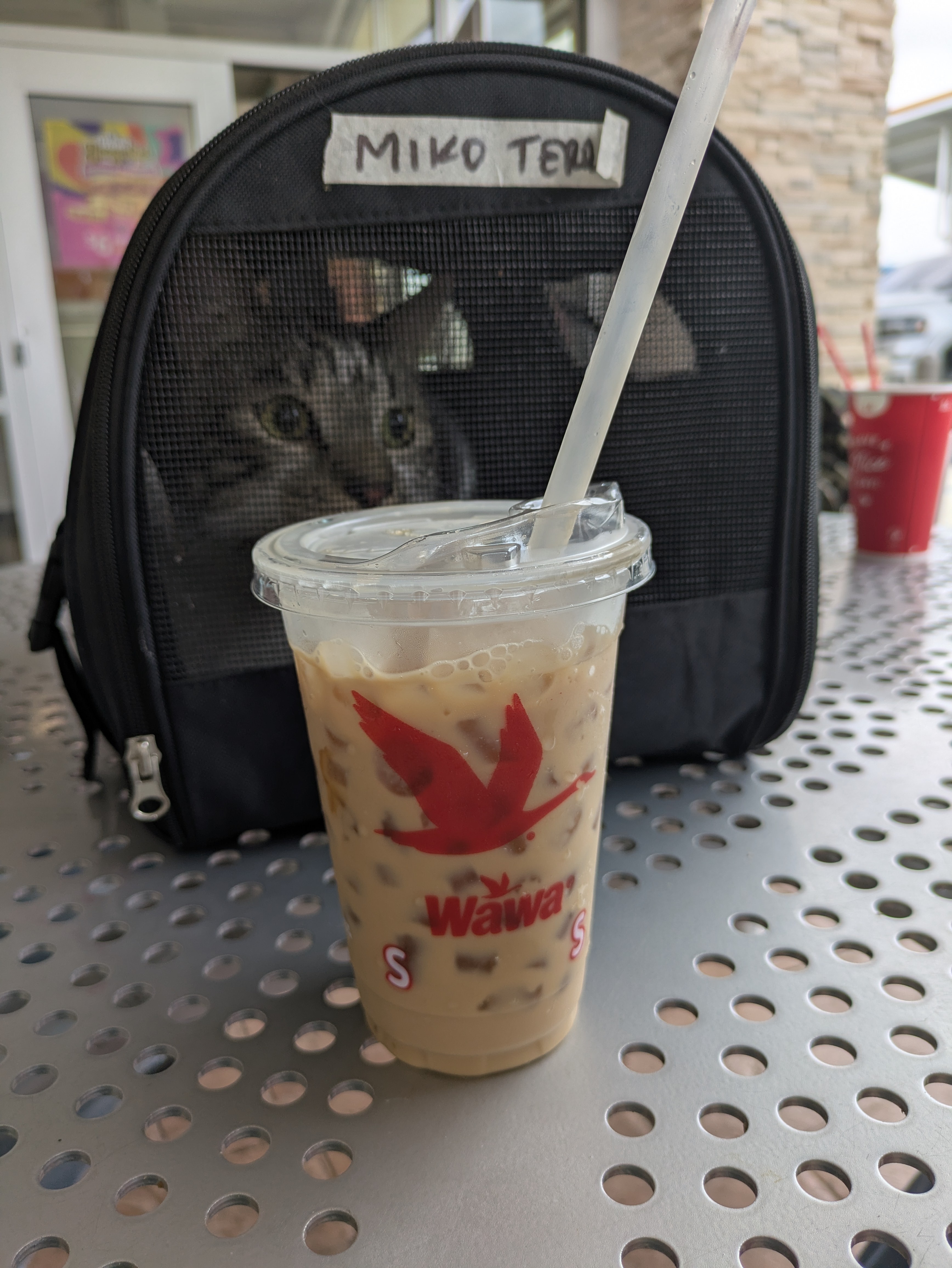 Vacaciones y tome un café frio de vainilla y miel en mi gasolinera preferida, una parada para continuar el viaje. Miko se porto muy muy bien, sabía que es un gato viajero. 😻
