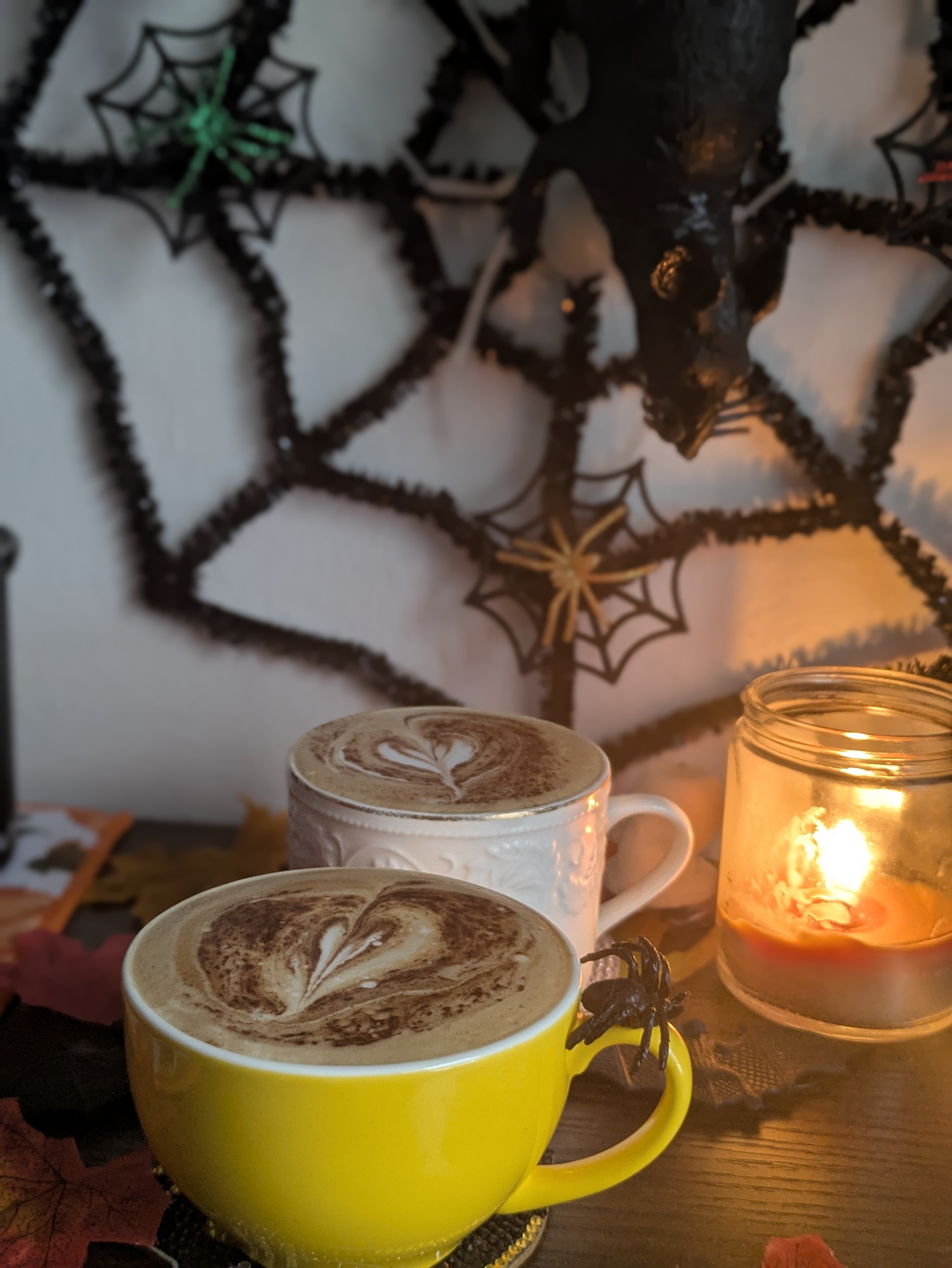 Buenos Dias ☀️ Aquí en Florida el clima cambio y estamos a 22 grados. Es genial sentir un dia fresco y cálido.