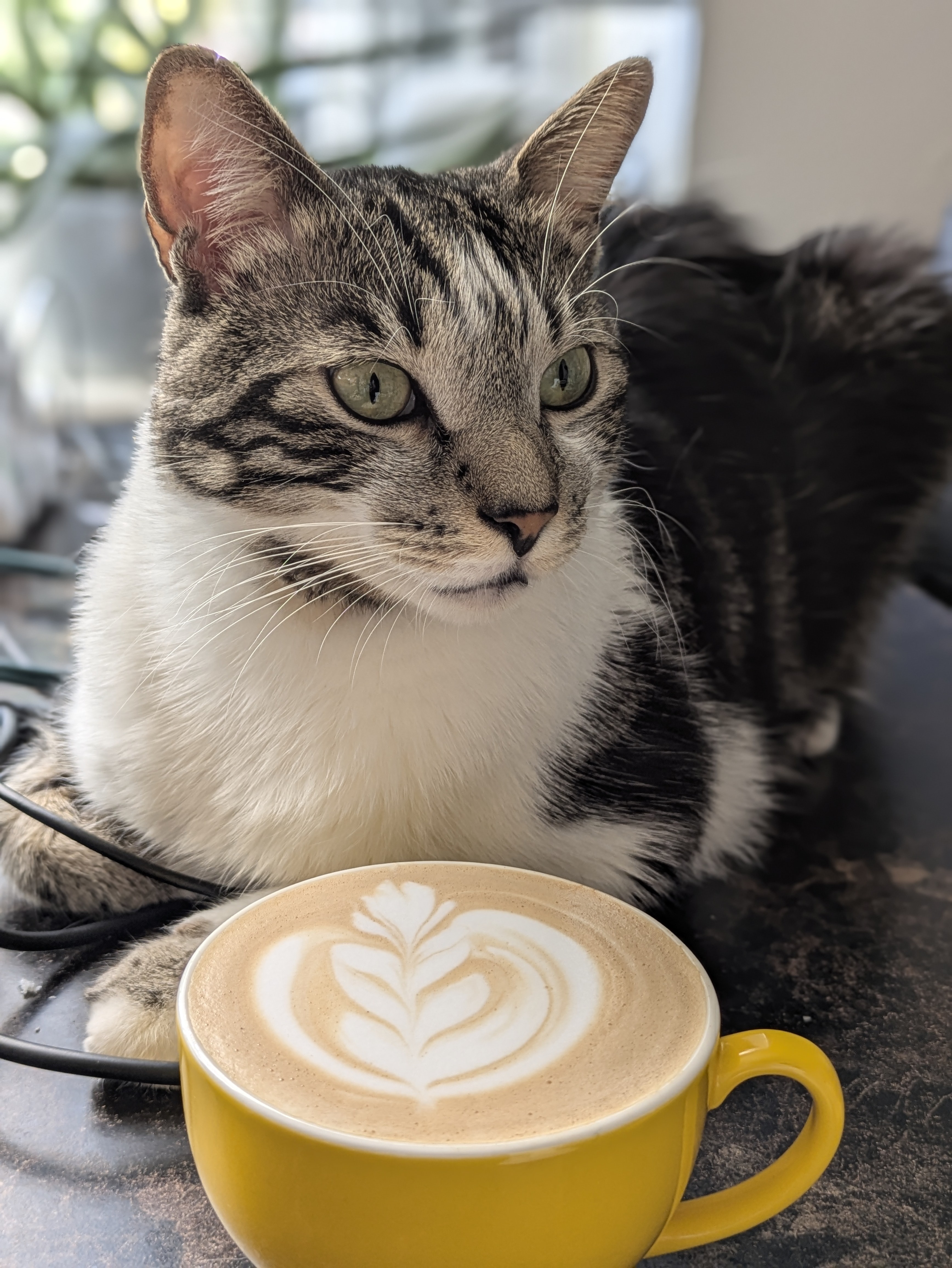 Cuando era pequeño siempre le gustaba salir en mis publicaciones y hoy en día no le gusta. 😝 Malo.