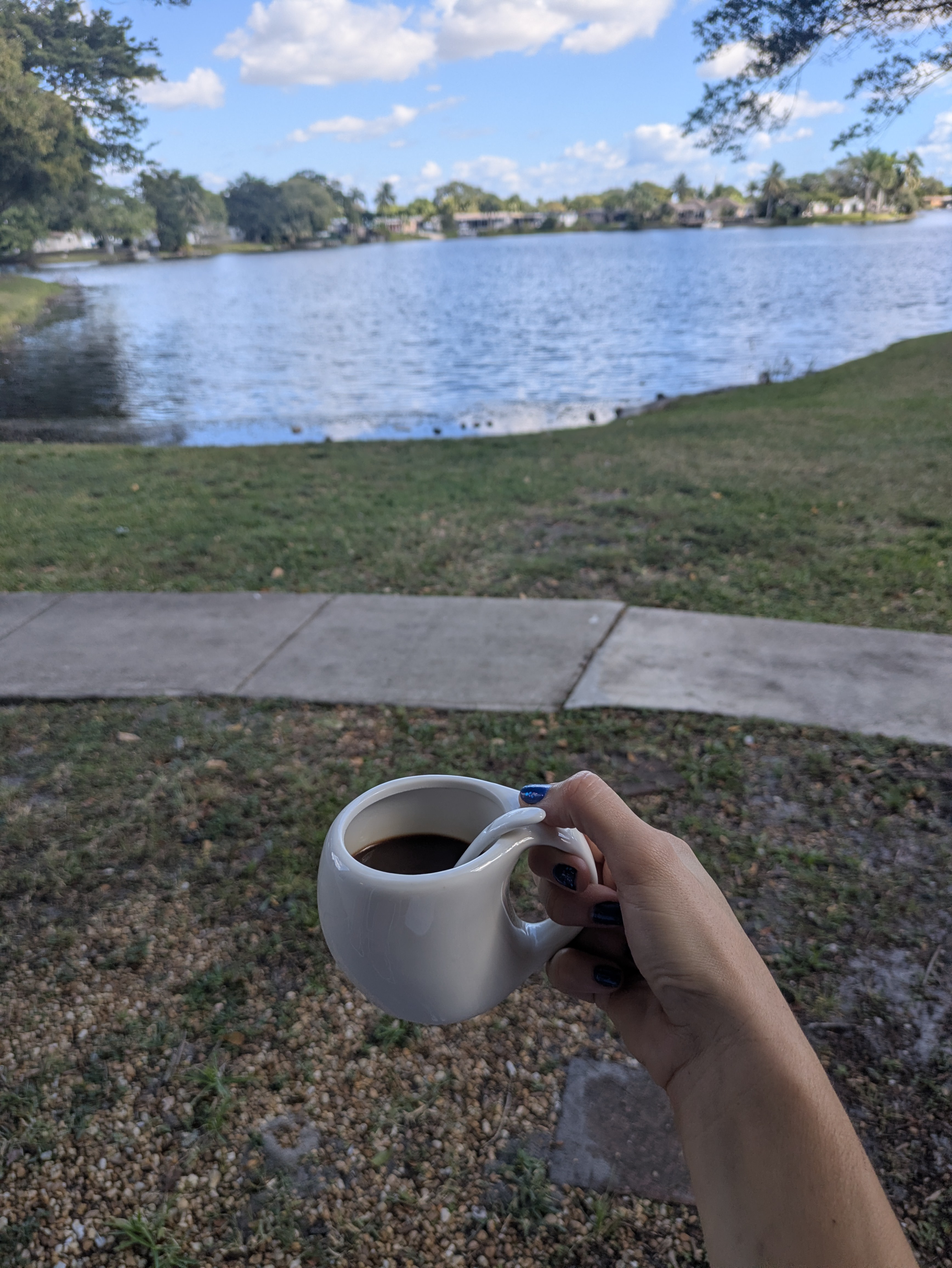 Estube disfrutando de esta hermosa vista, tomando un café hecho en una cafetera moka 