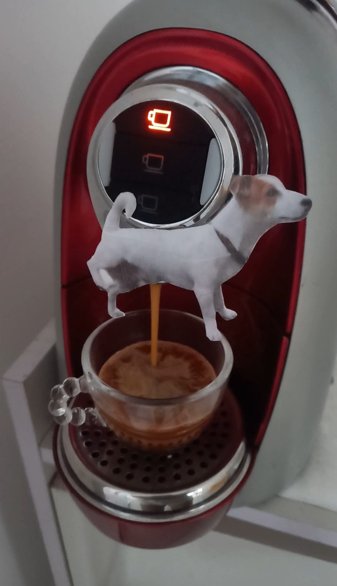 segunda-feira é dia de expresso☕️