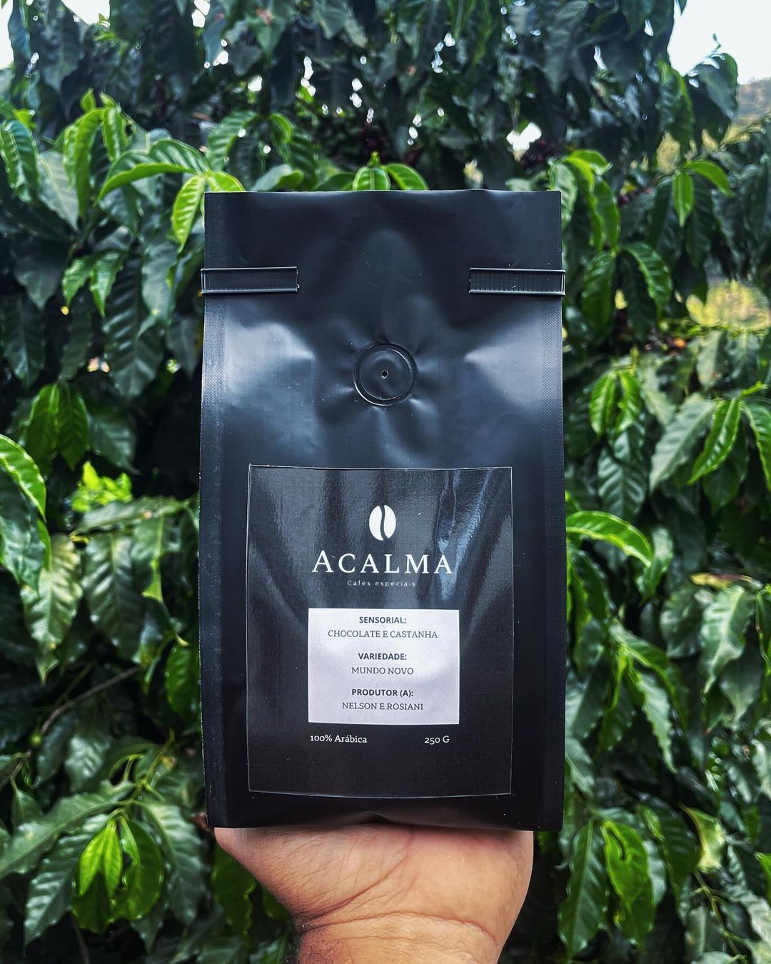 Olá, sou Barista Natural de São José dos Campos e atualmente moro com minha noiva na cidade de Cristina - Mg. Juntos criamos uma empresa de comercialização de cafés especiais, que se chama @acalmacafesespeciais, enviamos para o Brasil inteiro semanalmente. Fique a vontade para nos conhecer e pedir seu cafézinho. 

Atenciosamente - PH Matos