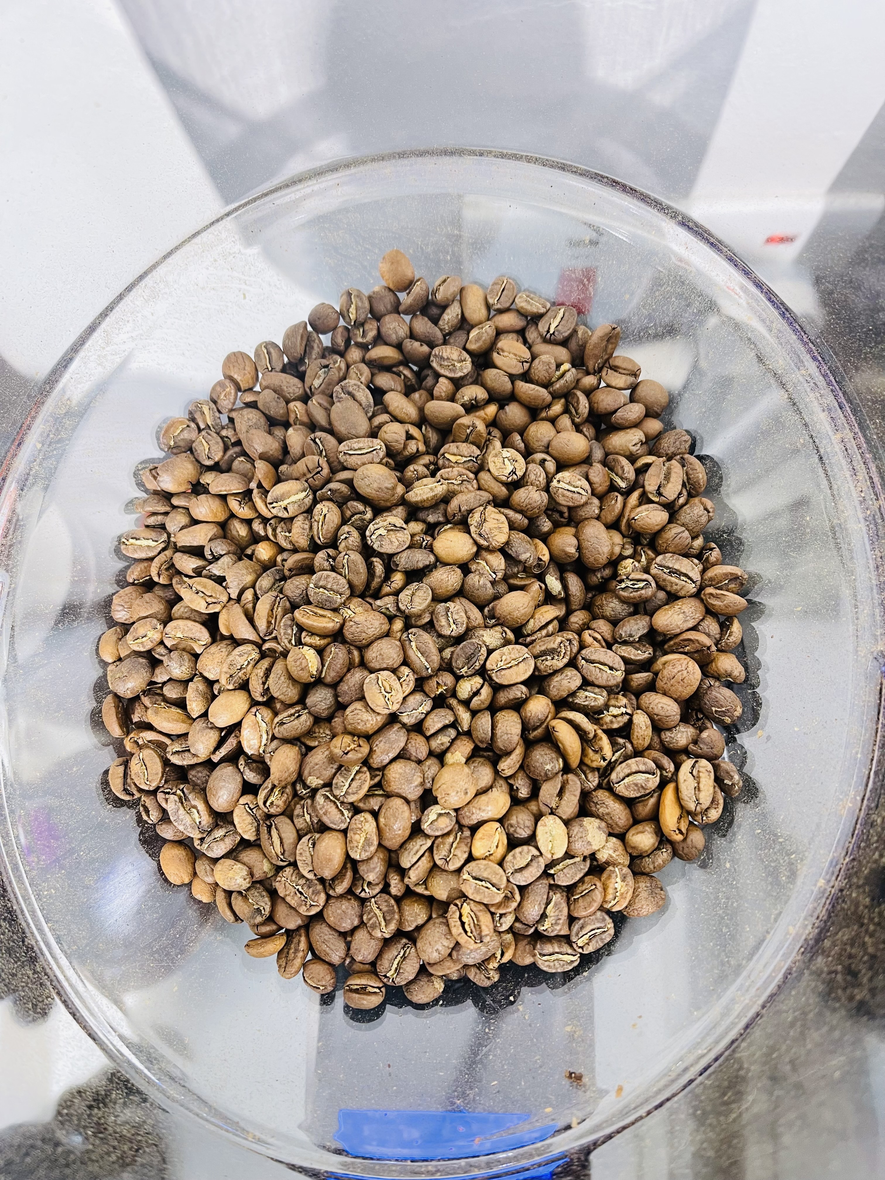 guess the beans