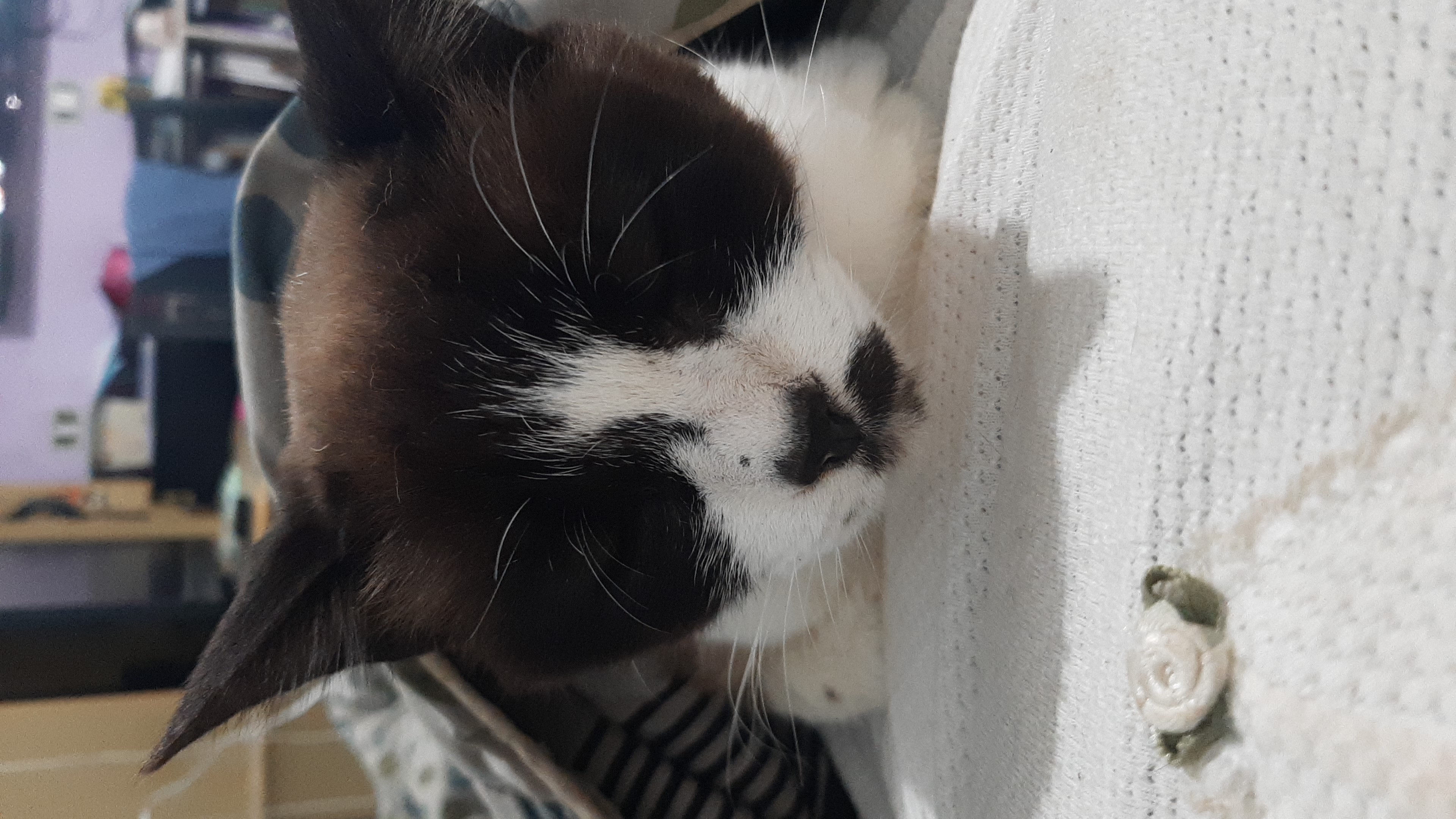 Coffee photo review barista cafe specialty coffee