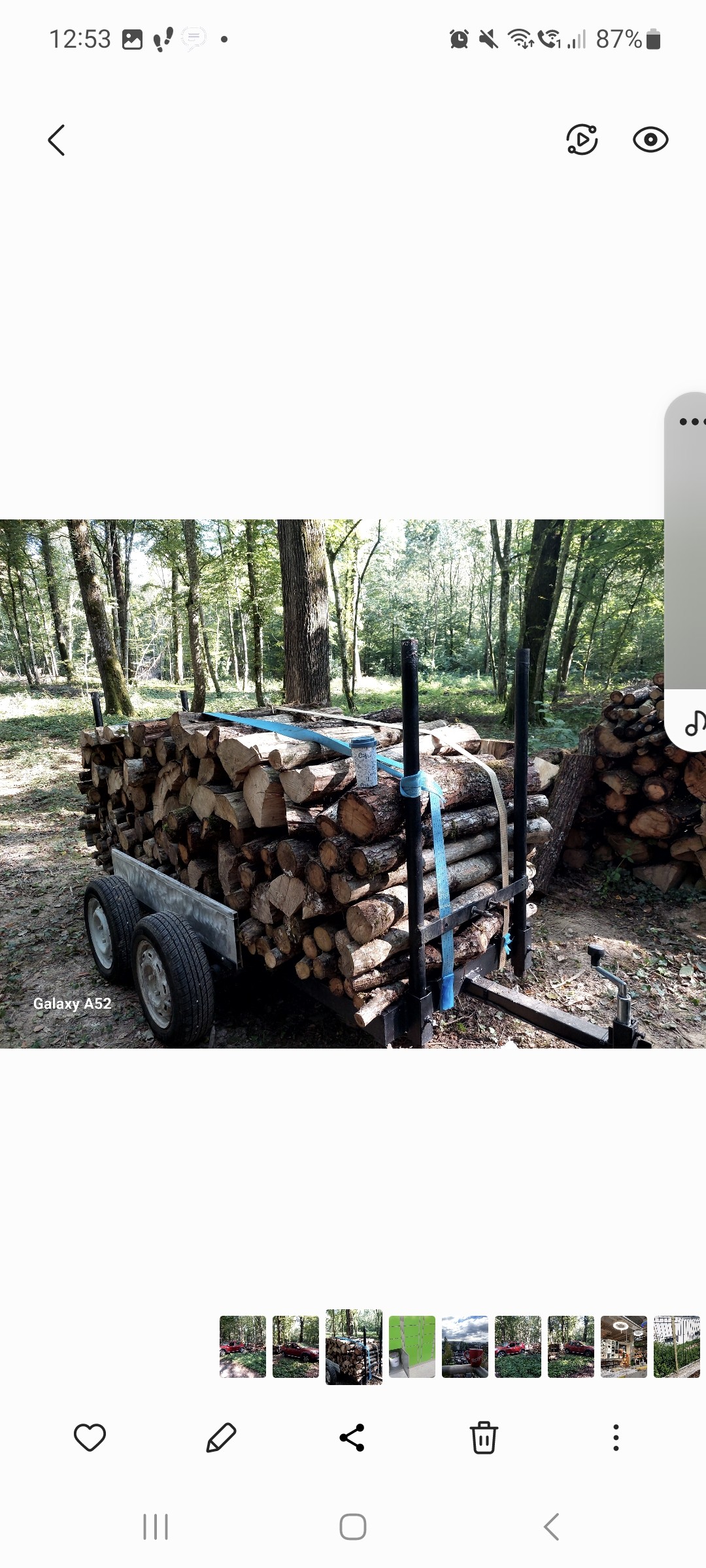 Coffee break 

Preaparing the winter
In the heart of the forest.
Gold Cost. Burgundy