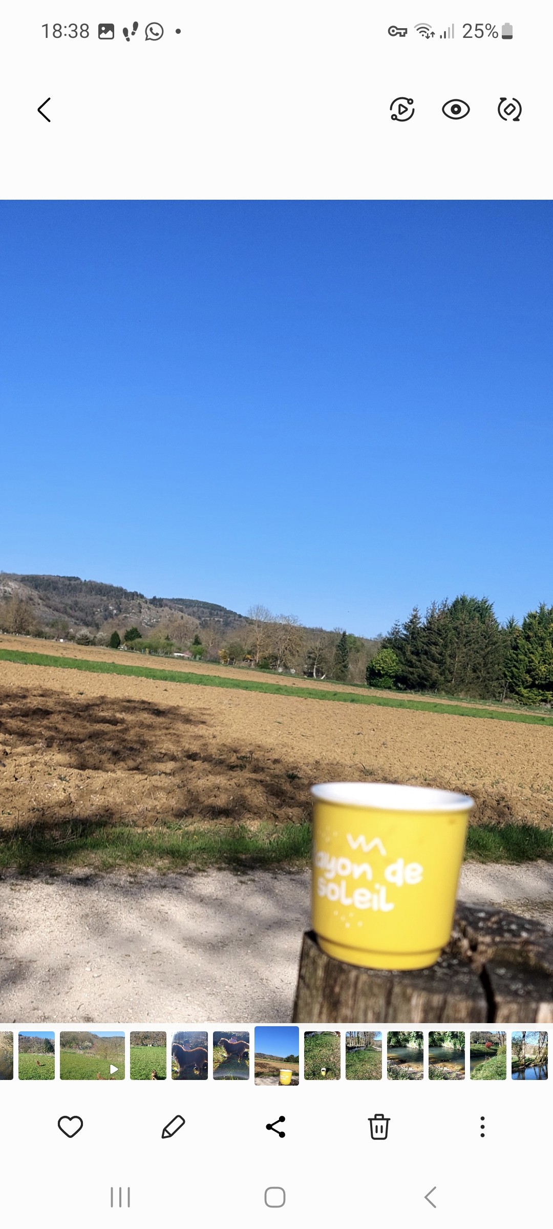 Café l'or Absolu en grains 

Nouvelle balade des chiens heureux 
Pause café 