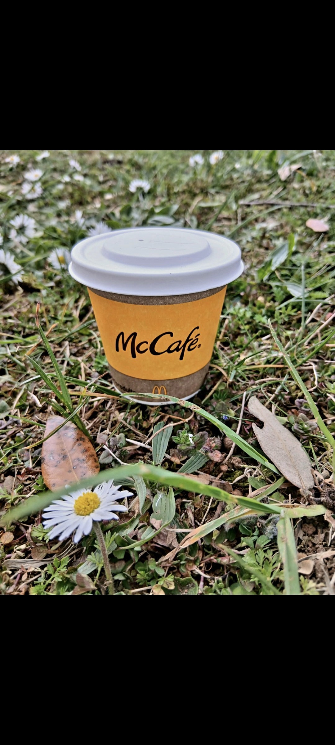 Expresso en grains 

Pause Mac Do.
Je n'ai pas trouvé de macaron ;-(